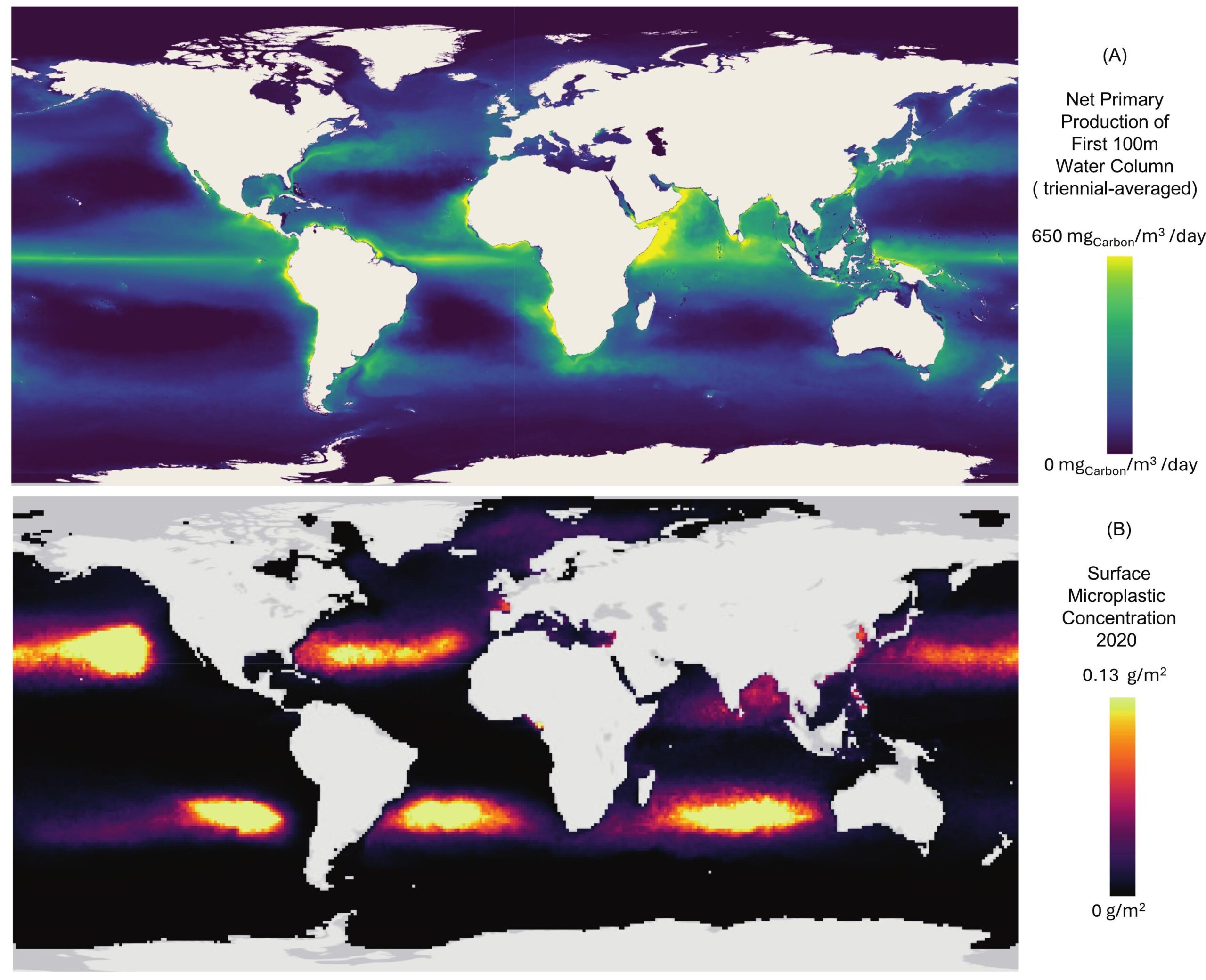 Net primary production in biomass from 2019 to 2021, based on Mercator Ocean International,2019 (B) surface microplastic concentration, based on Kaandorp et al 2023.
