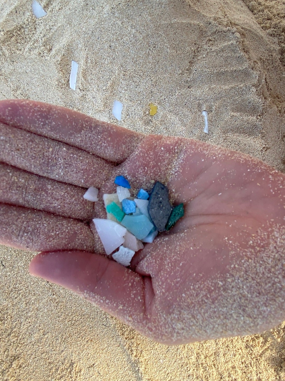 The researchers found that the impact of plastic on CO2 uptake was greatest in dry and tropical climate regions. These regions are particularly vulnerable to microplastic pollution. 