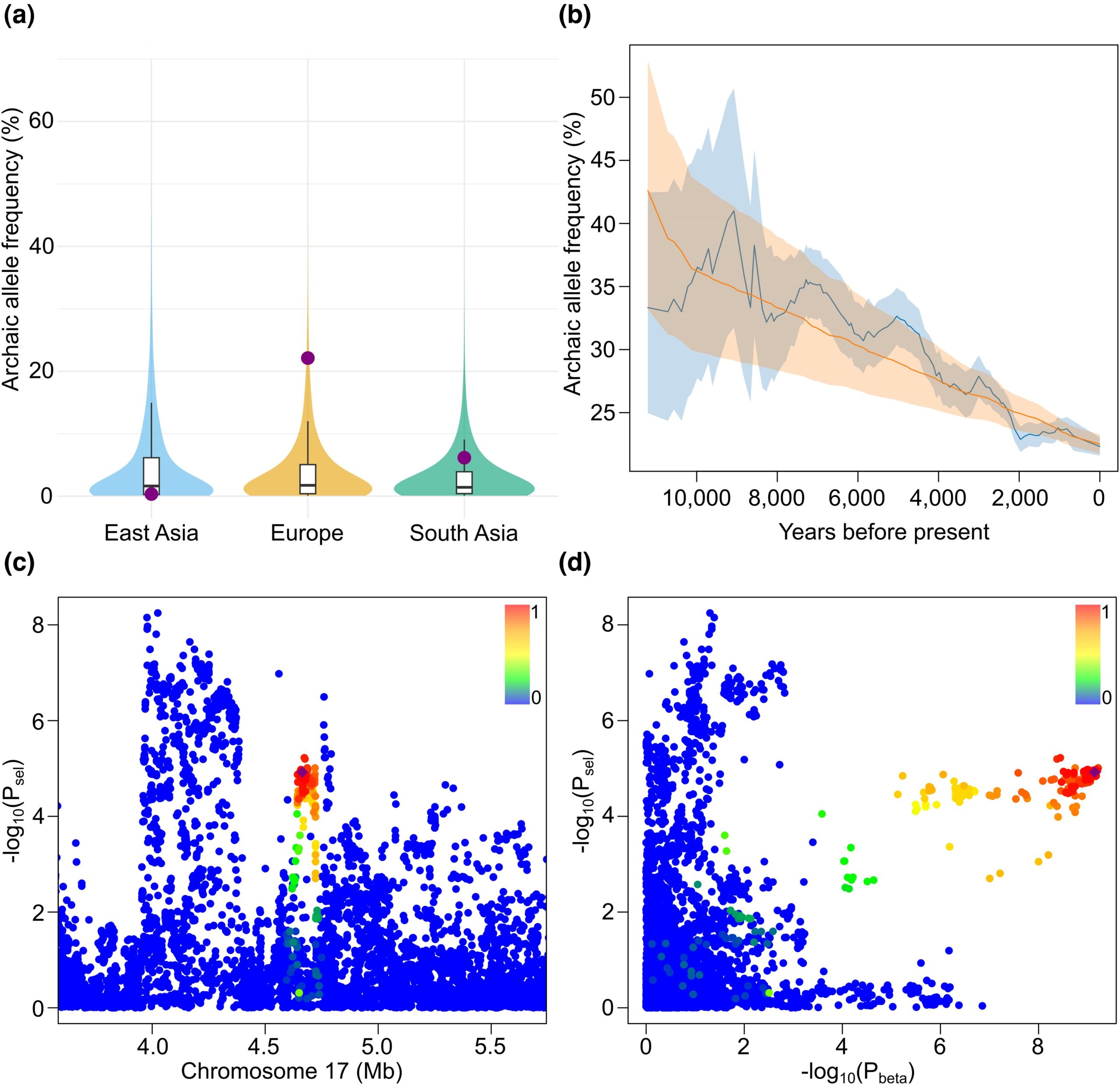 Signatures of selection for archaic haplotype tagged by aSNP chr17:4,664,269_T/C.