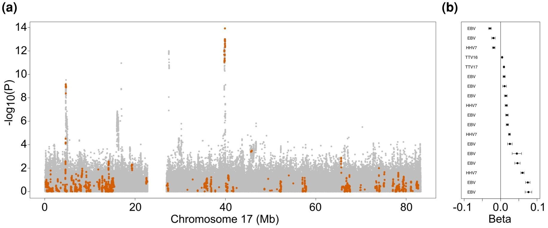 Archaic haplotypes with DNA virus level associations.