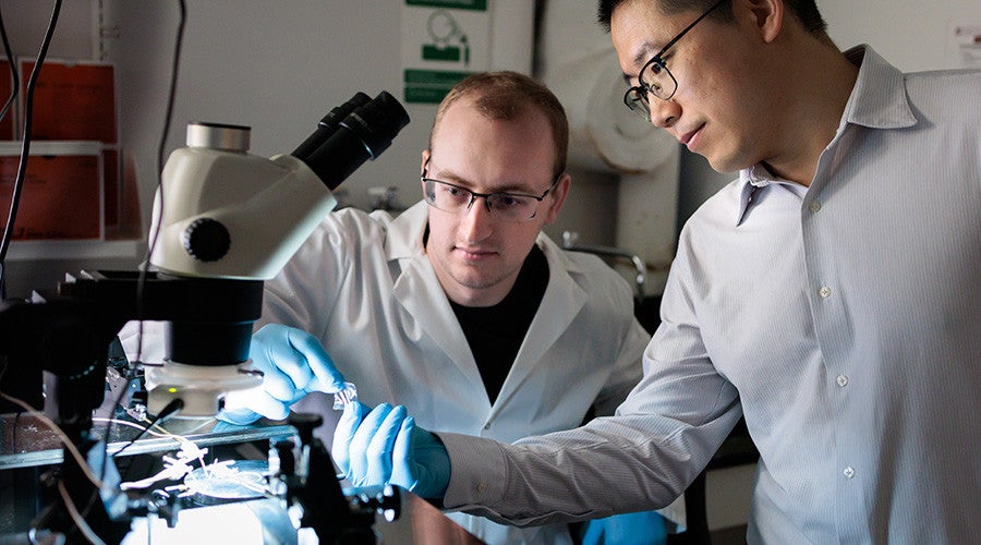 Assoc. Prof. Sihong Wang (right) and PhD student Max Weires hold a sample device.