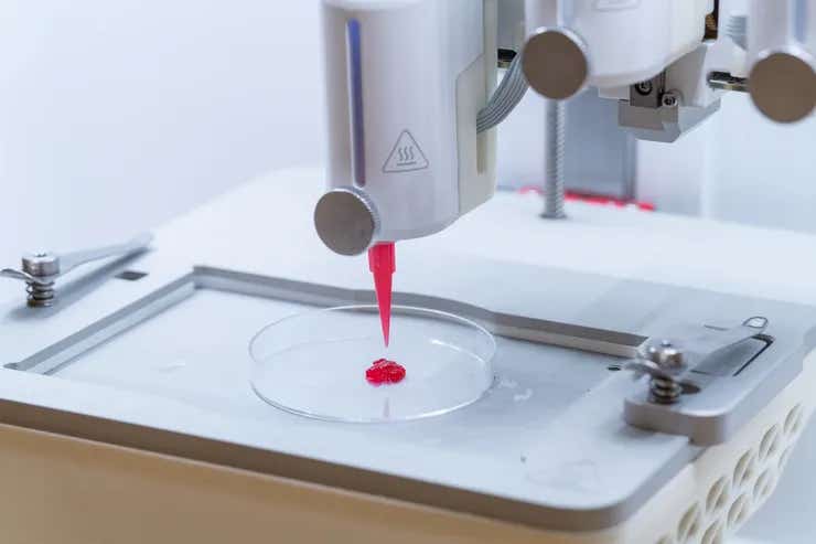Researchers have created a living gel packed with skin cells that can be injected or 3D printed into grafts. The technology may help regenerate healthy skin and improve treatment for severe burns and chronic wounds.
