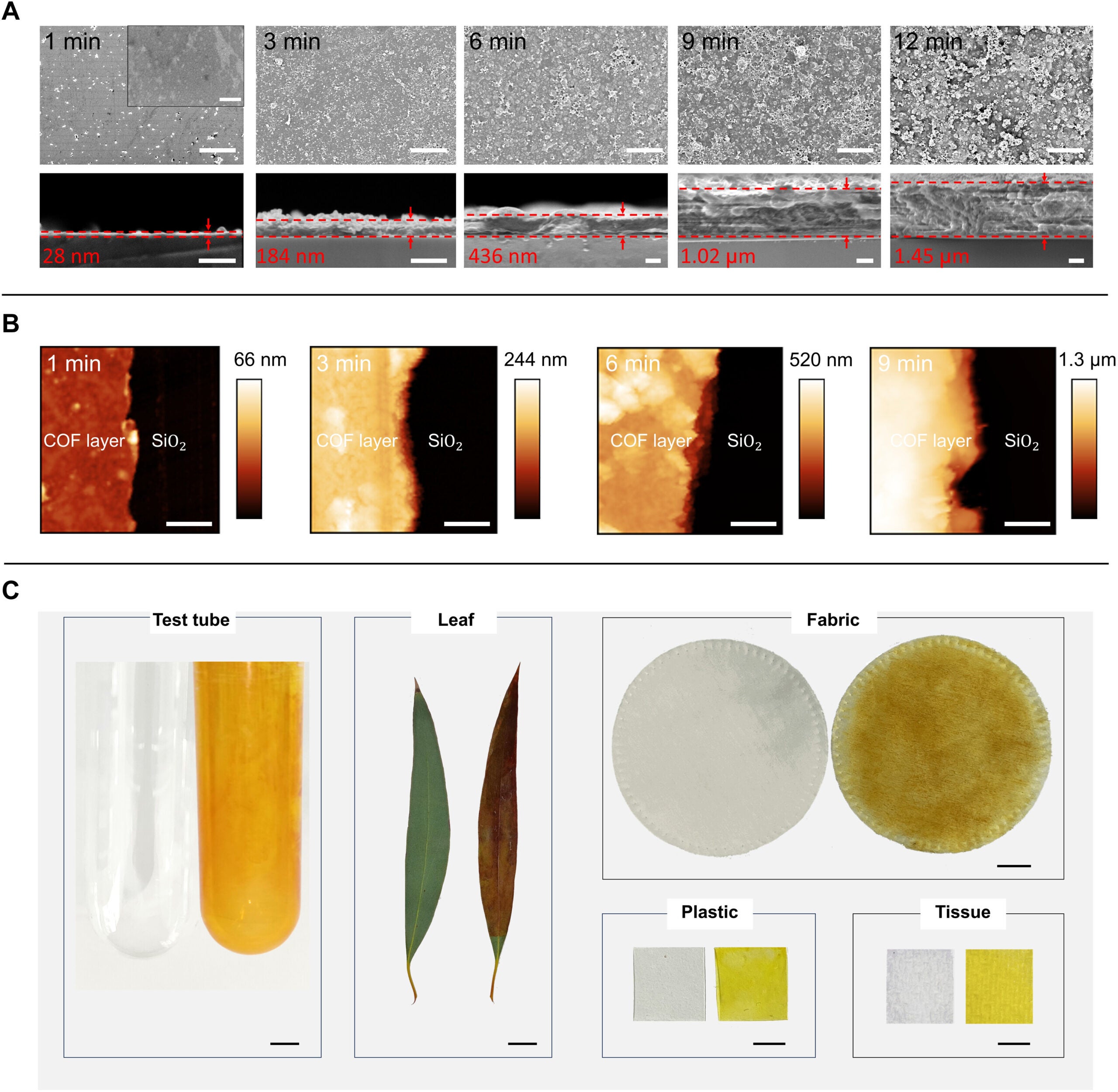 Controllable COF coatings on different substrates.