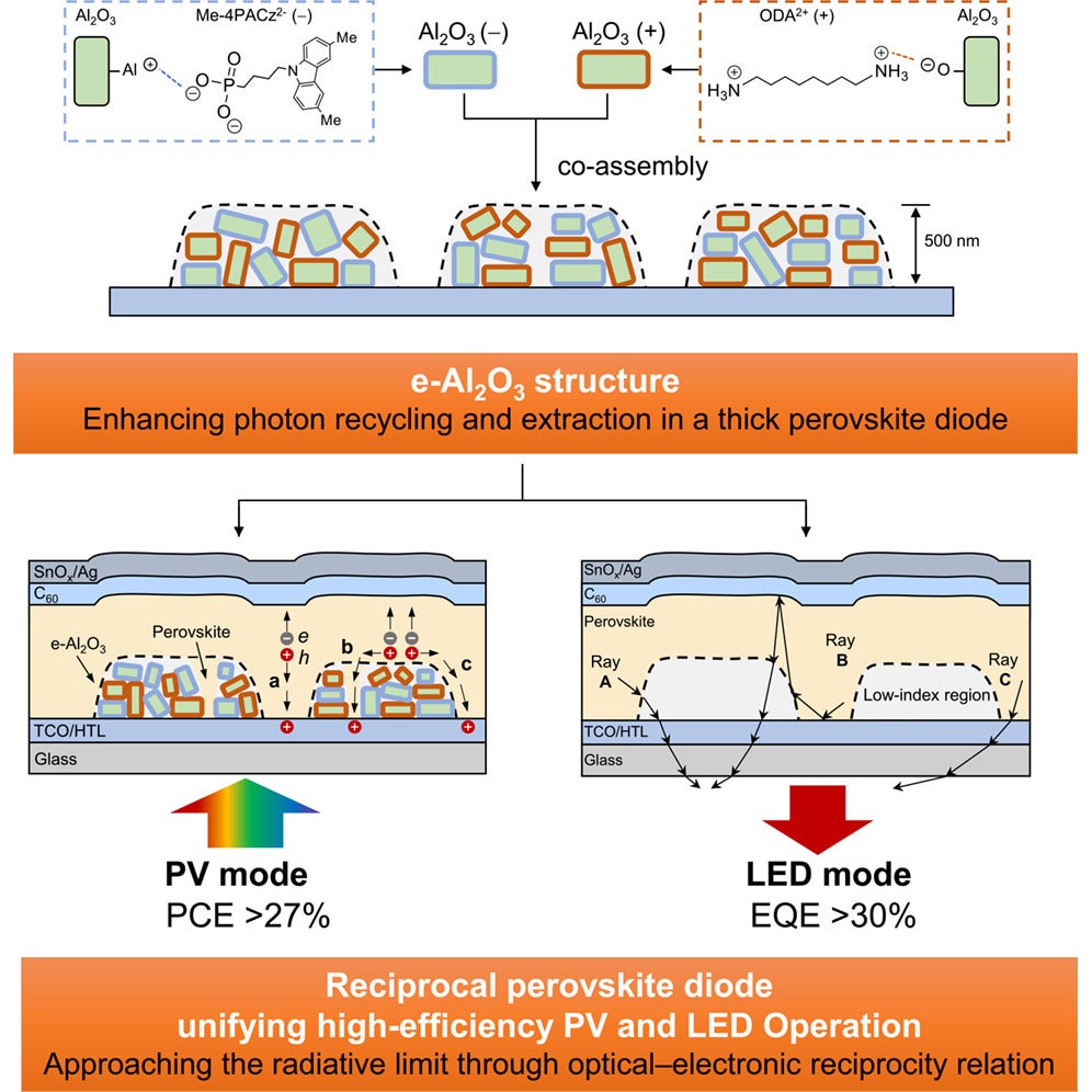 Graphical abstract of the study.