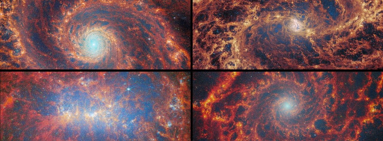 Nearby star-forming FEAST galaxies