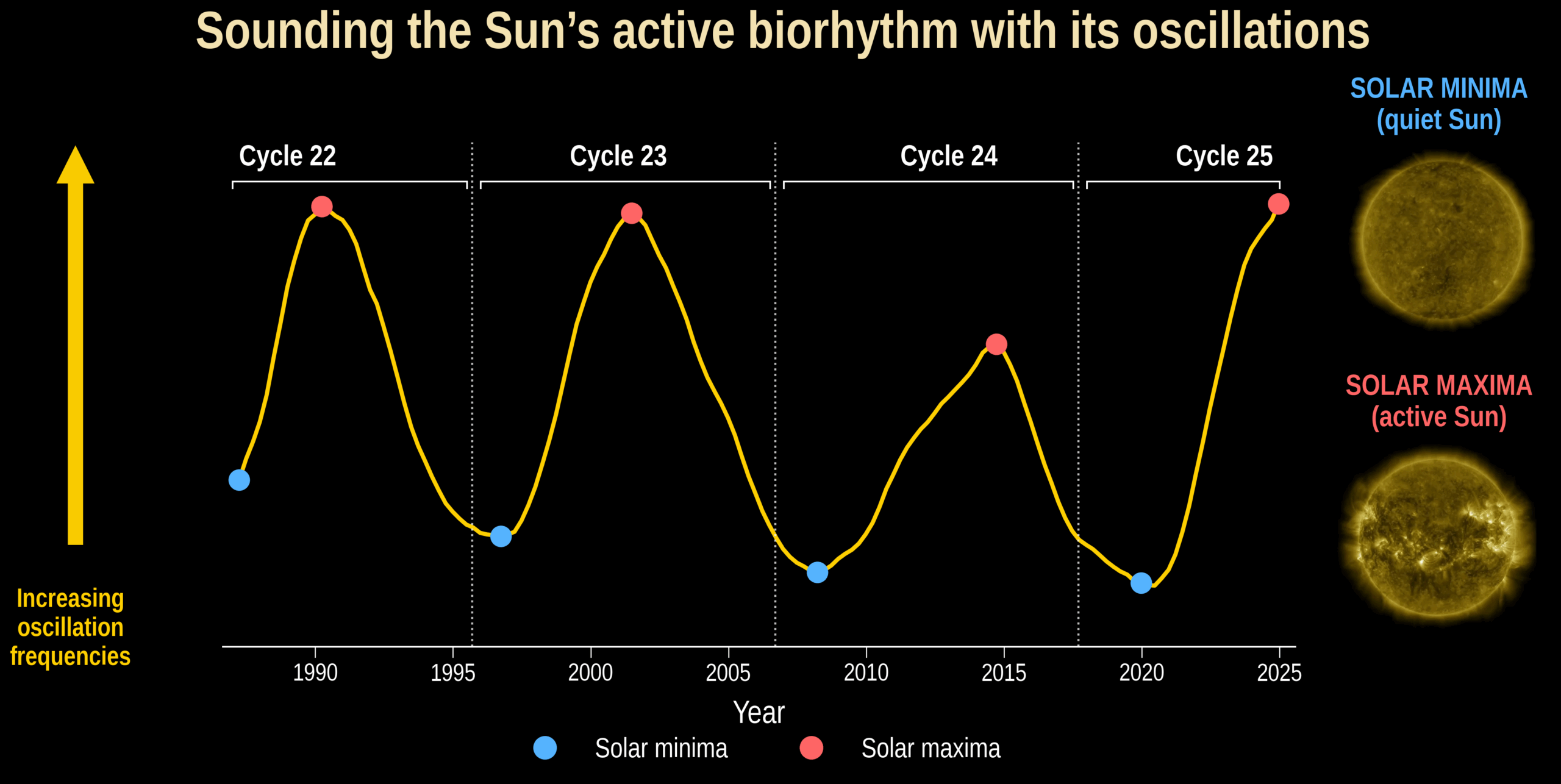 As the Sun's activity varies over each 11-year solar cycle – from periods of high activity (solar maxima) to low activity (solar minima) – so the Sun's oscillations, which are due to sound waves in the Sun's interior, increase and decrease in frequency. The oscillations therefore track and probe the Sun's active biorhythm.