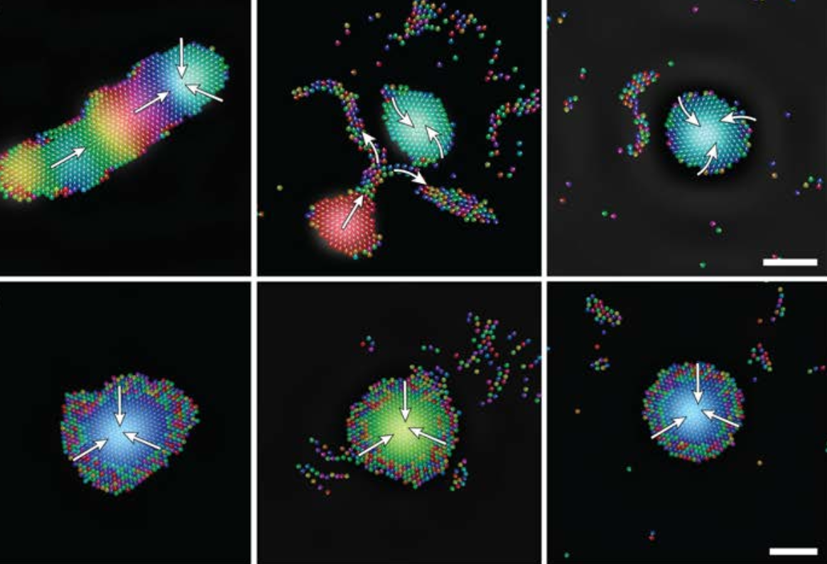 A new study led by Penn State researchers shows for the first time how sound waves could function as a means of controlling micro-sized robots. 