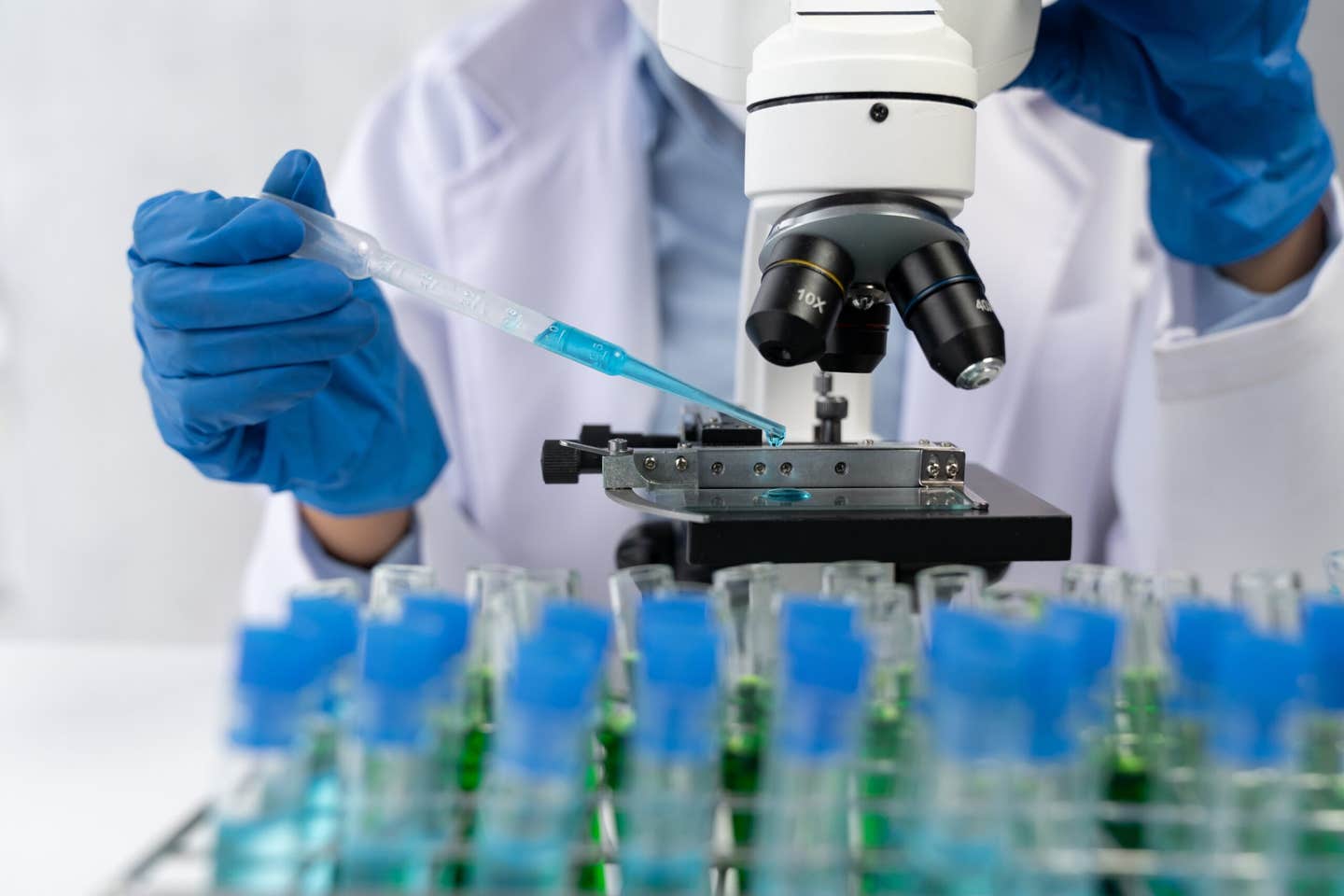 Scientists developed a synthetic cell-like system that uses DNA nanopores to coordinate molecular transport and complex reactions.