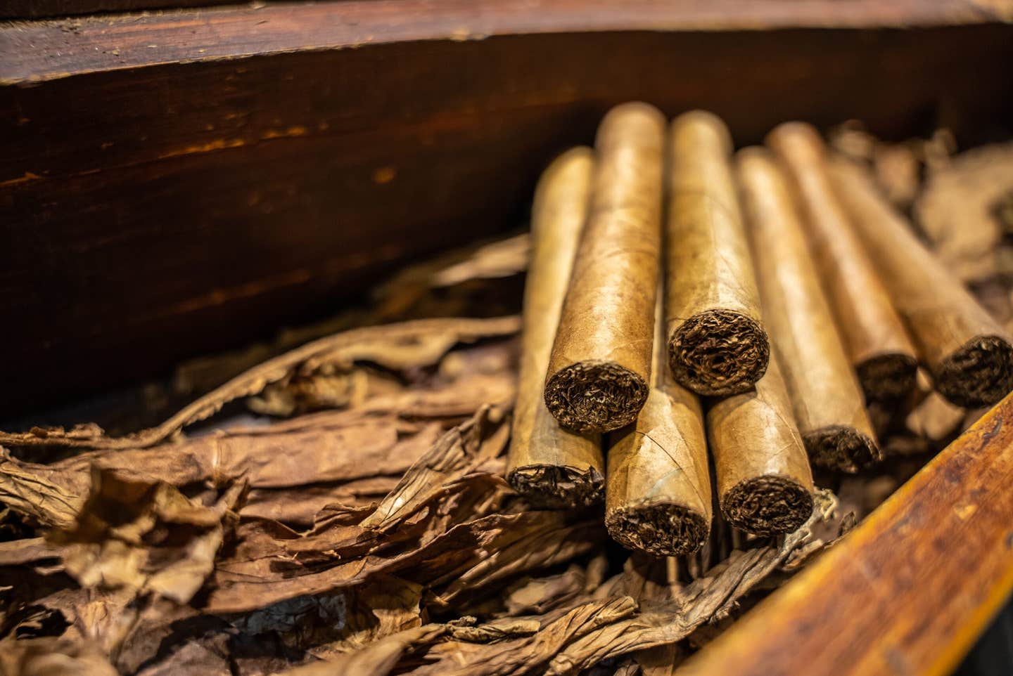 Researchers have uncovered the full nicotine production pathway in tobacco plants, opening new possibilities for safer medicines and biotechnology.