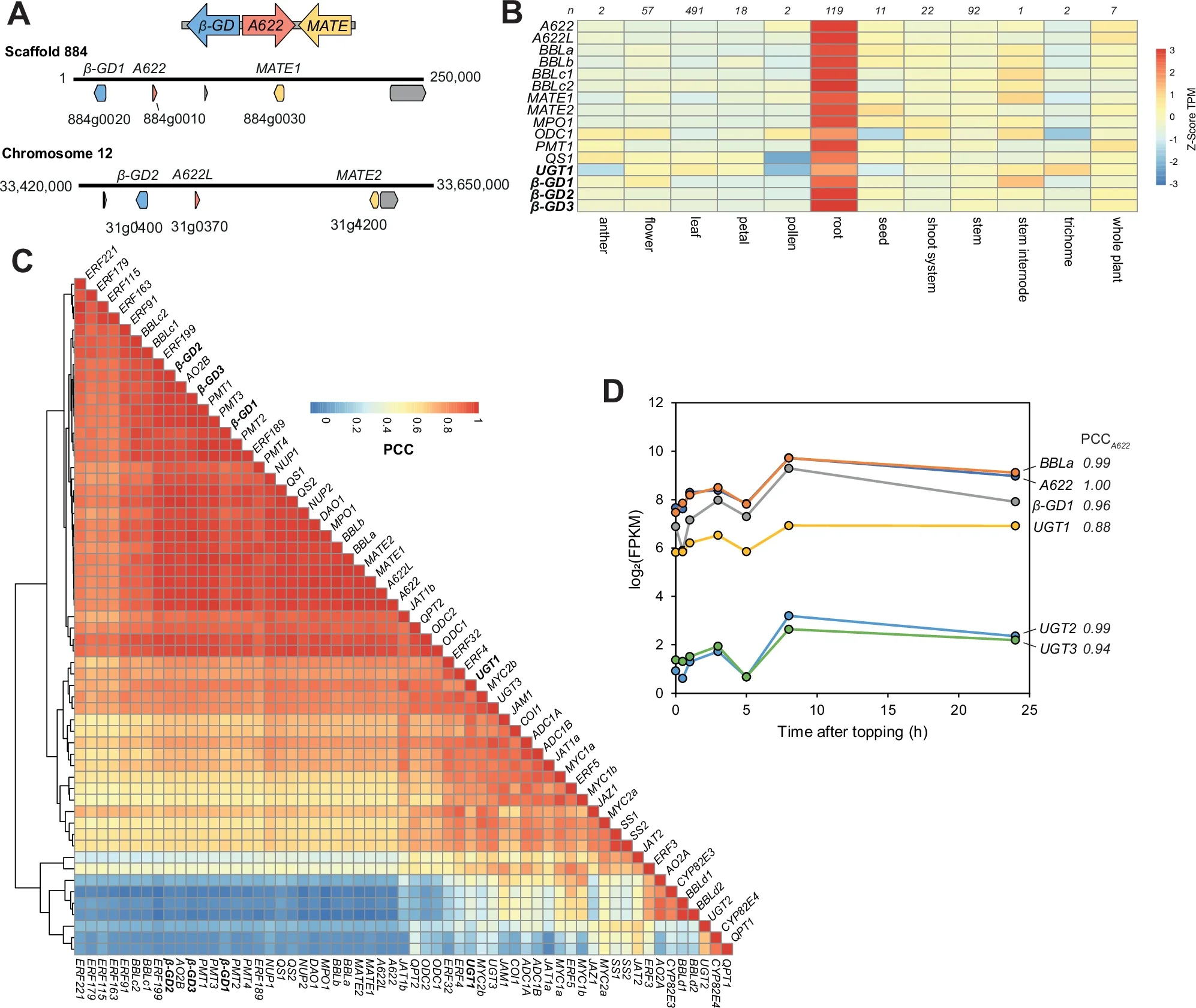 Identification of biosynthetic gene clusters and gene candidates.