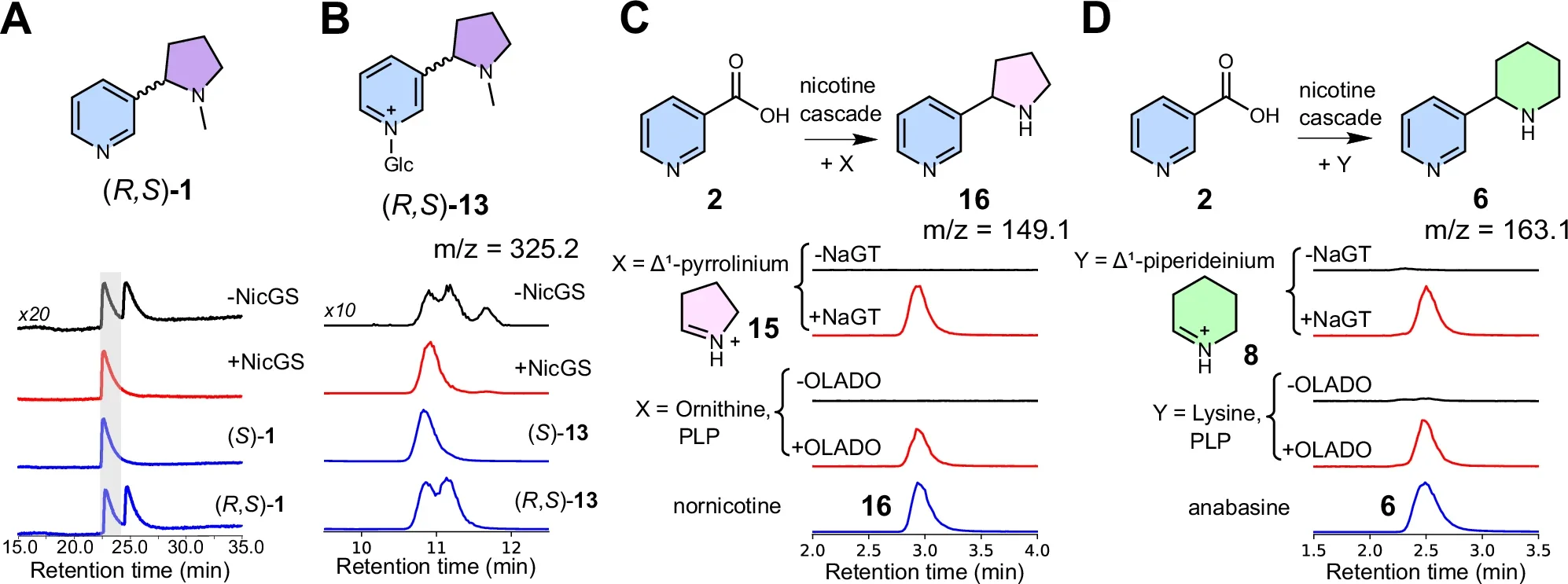 Stereoselectivity and substrate scope of nicotine biosynthetic cascade.