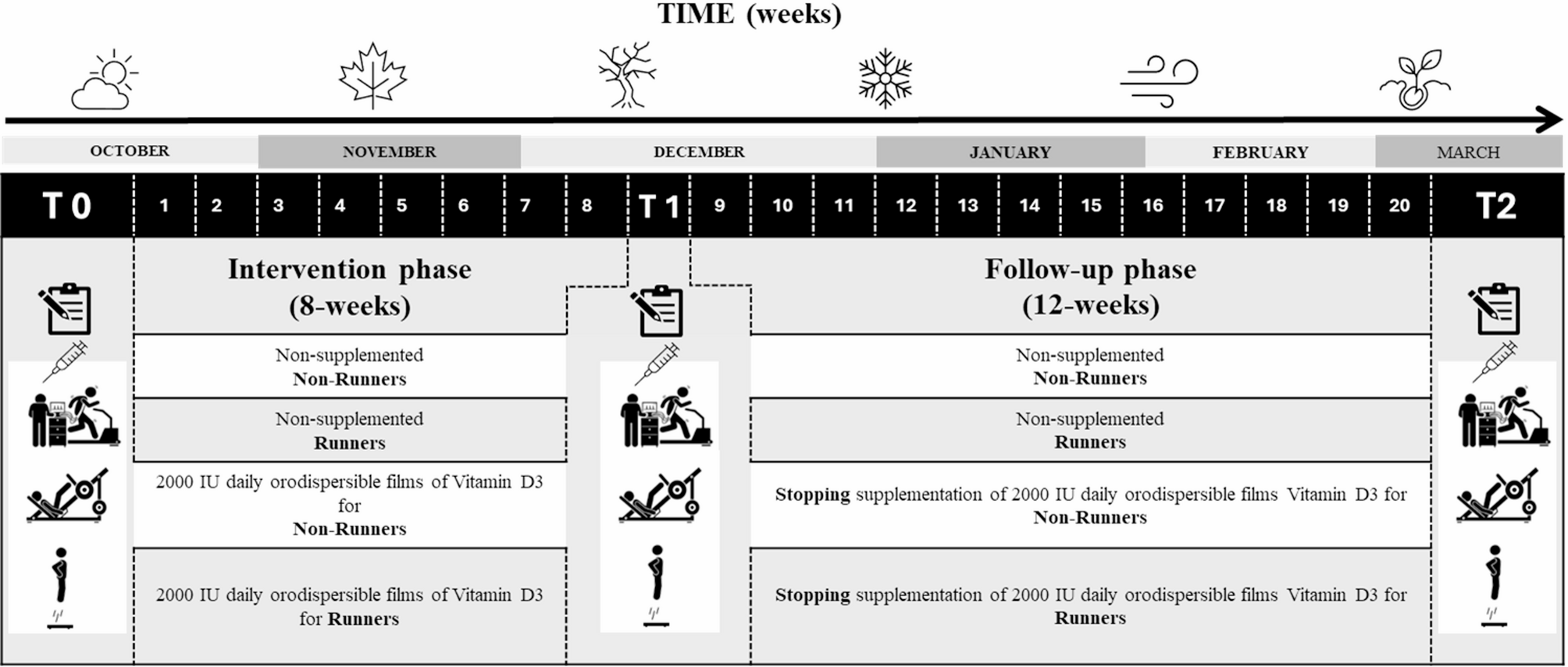 Schematic representation of the experimental study design.