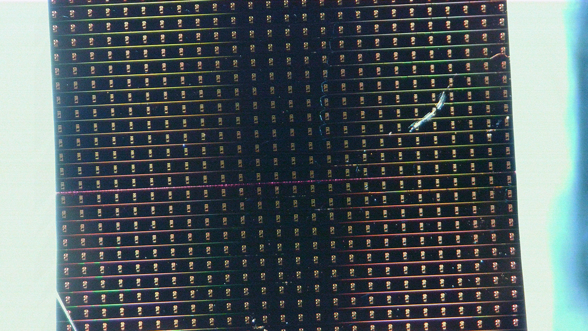 The researchers used waveguides—microscopic channels fabricated on a silicon wafer—to guide light. Long waveguides of varying widths can be seen on the chip, where a thin layer of organic molecules transforms light as it passes through.