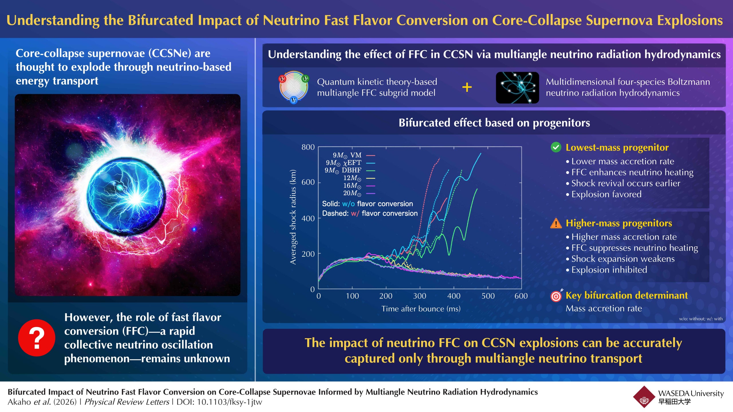 Researchers elucidate the bifurcated impact of neutrino fast flavor conversion on the core-collapse supernova explosion mechanism.