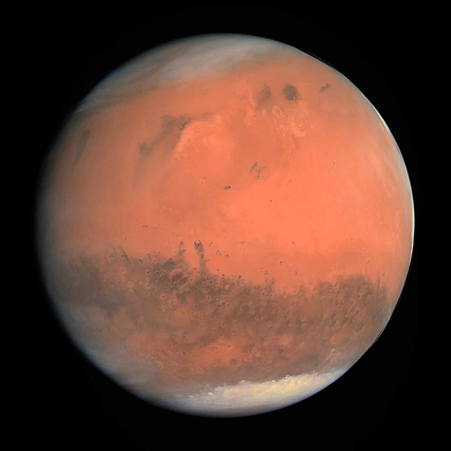 Molecules eyed as Mars biosignatures in a famous meteorite appear to come from petroleum pollution, refining the search for ancient life.