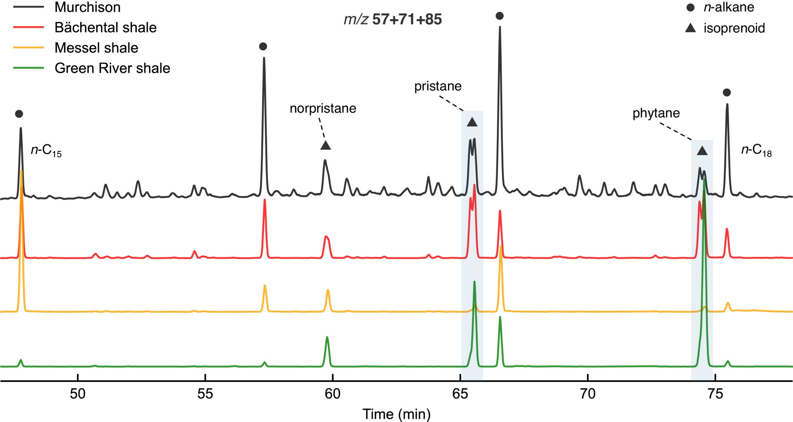 GC-MS gas chromatograms (m/z 57+71+85) of a Murchison extract, compared to that in extracts of the Bächental, Messel and Green River oil shales.