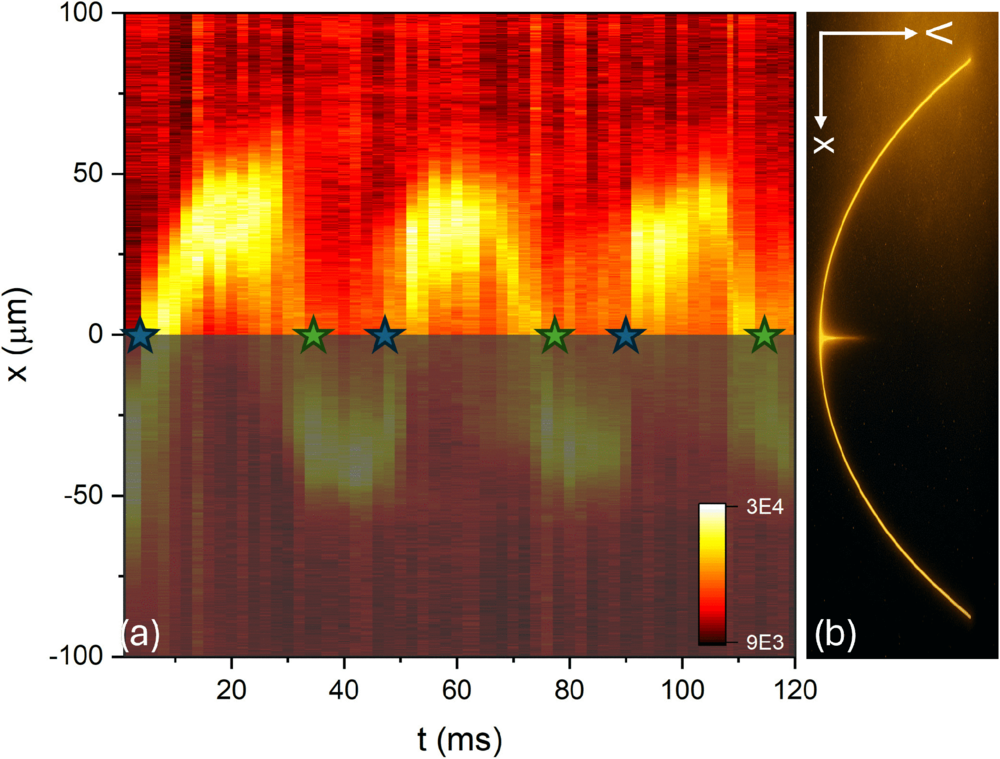 Experimental absorption images integrated along the y axis showing the evolution of our system as a function of the external laboratory time. The color scale indicates the integrated column density in arbitrary units.