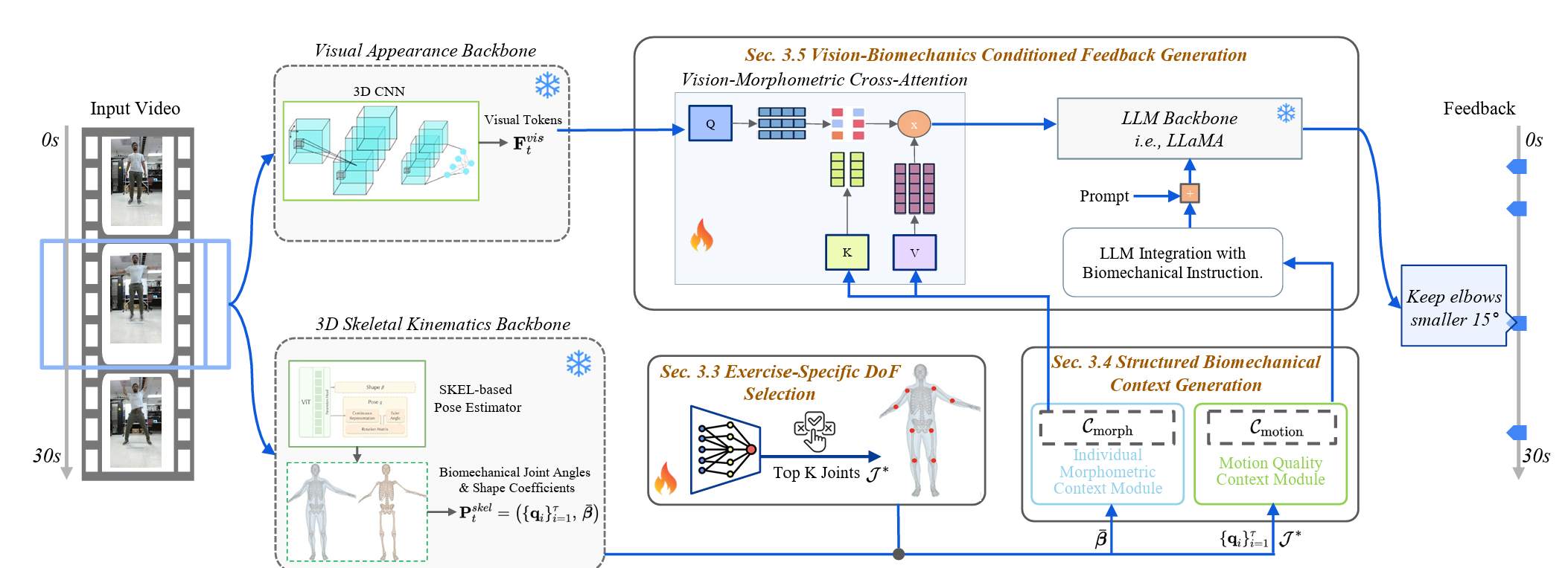 BioCoach overview. Streaming video is encoded by two backbones: a 3D CNN for visual tokens and a pose extractor for 3D skeletal kinematics.