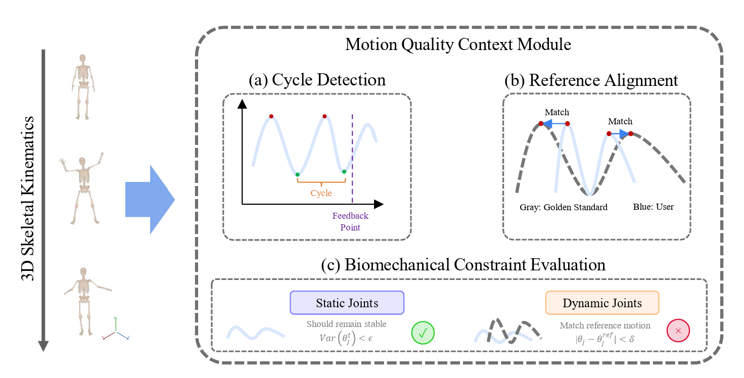 Motion-Quality Context module. Given the selected joint set and the 3D skeletal kinematics, the module (a) detects repetition cycles and anchors the feedback moment; (b) timenormalizes each cycle and aligns it to a curated reference trajectory; and (c) evaluates biomechanical constraints