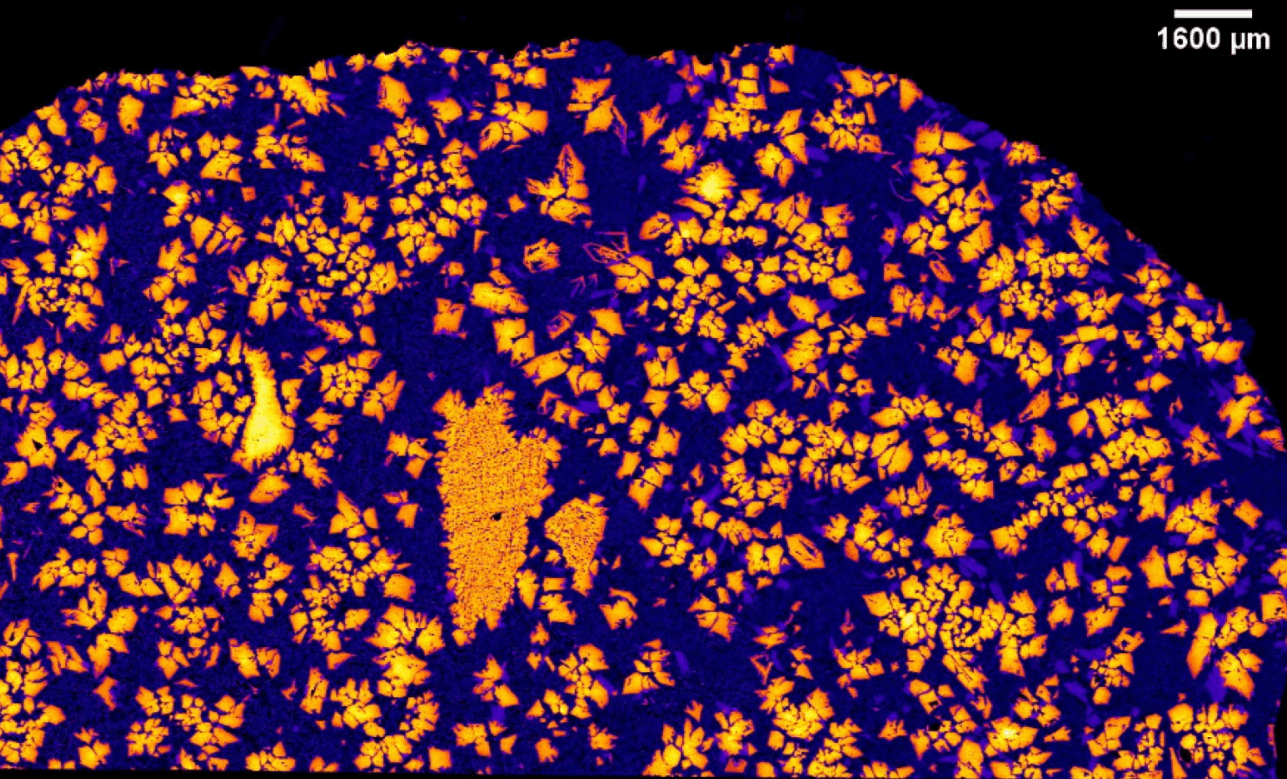 An X-ray image of NWA 12774.