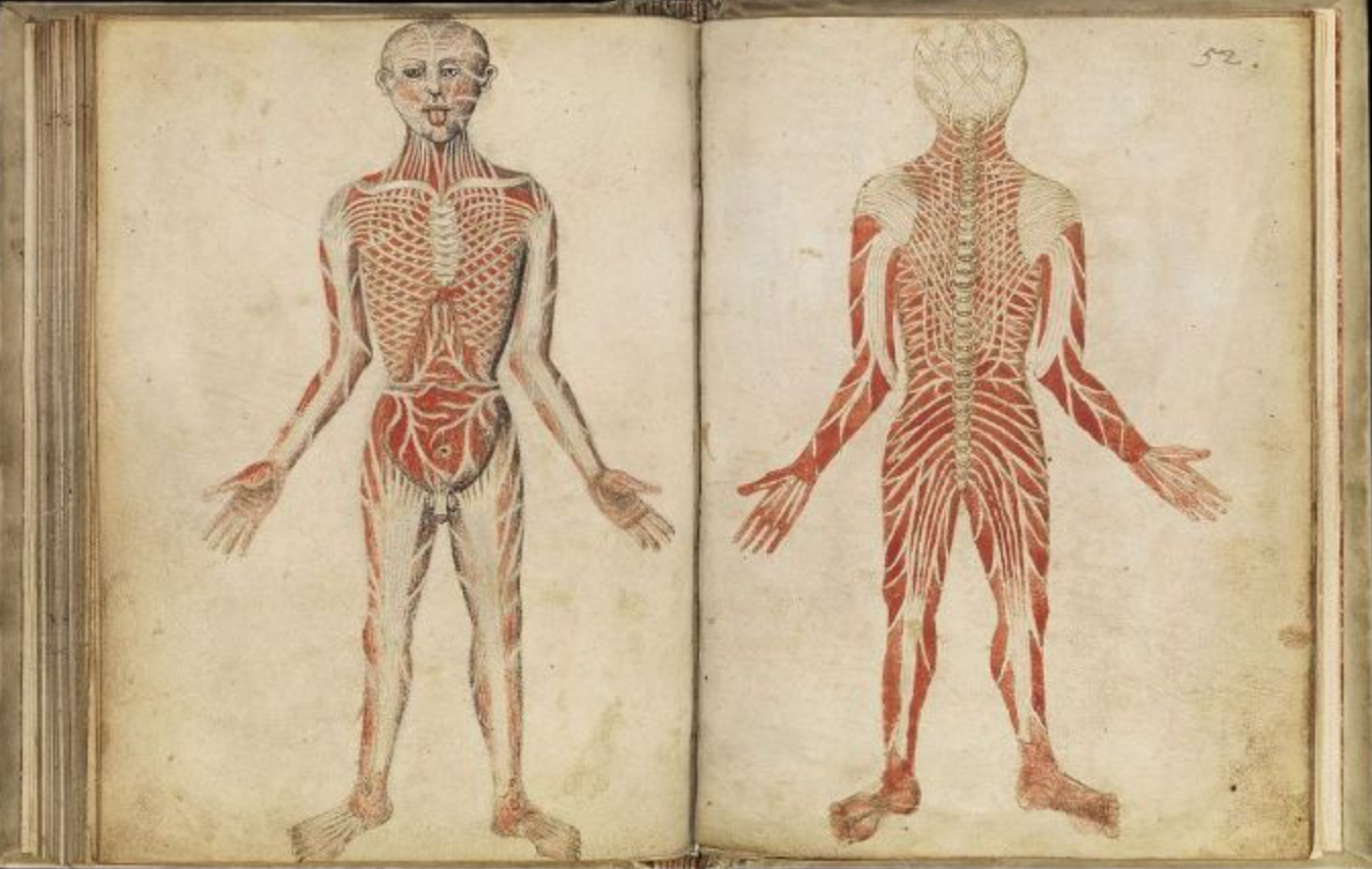 “Pseudo-Galen, Claudius, 131-201 (MS.290)”.