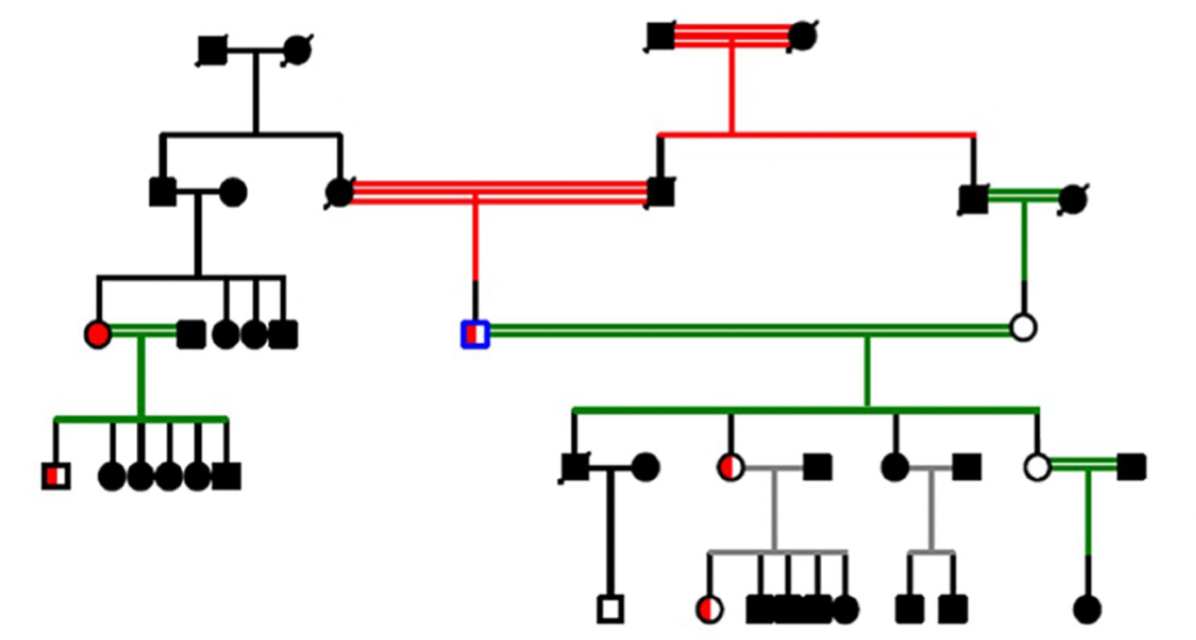 In the Pakistan Genome Resource, the ability to comprehensively examine individuals and other close family members gives researchers much more detail about the effect of specific genes that is not possible in other studies. 