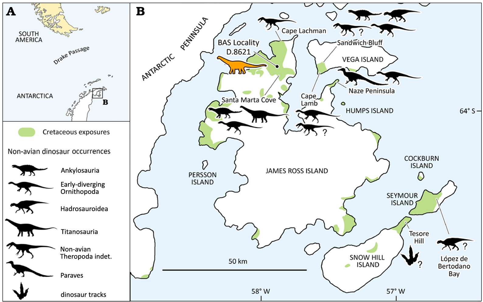 Geographic provenance of BAS D.8621.25, an anterior caudal vertebra identified as Eutitanosauria indet., and other Antarctic Cretaceous non-avian dinosaur discoveries.