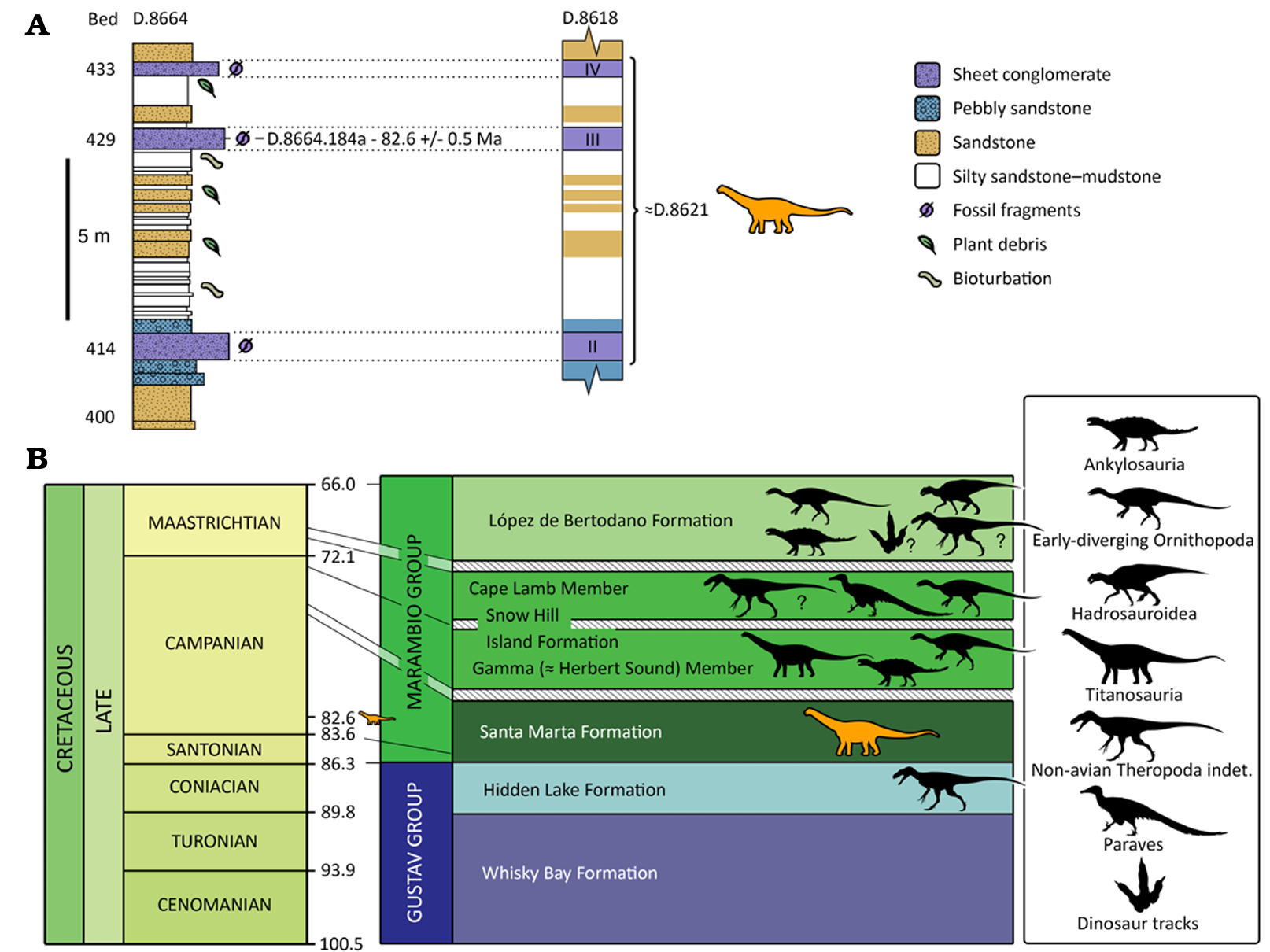  Stratigraphic context of the anterior caudal vertebra of Eutitanosauria indet. (BAS D.8621.25) and other Antarctic Cretaceous non-avian dinosaur discoveries.