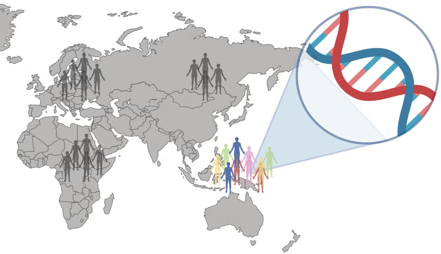 A major genetics study uncovers how ancient human mixing in Oceania still affects immunity, evolution, and modern health.