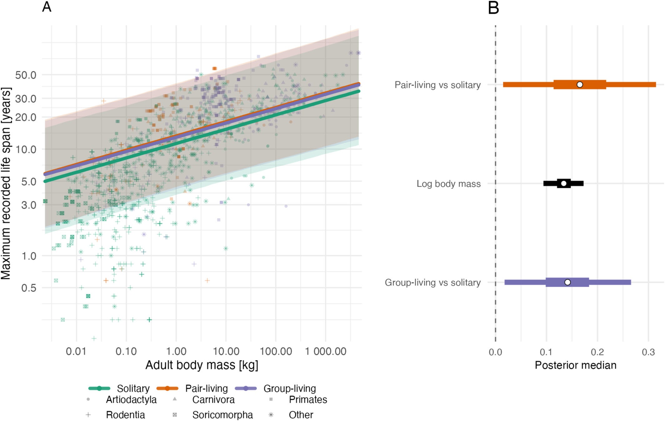 Additive model relating log maximum lifespan to log body mass and social organisation for 1436 mammal species. Panel A shows observed maximum lifespan versus adult body mass (both on log scales).