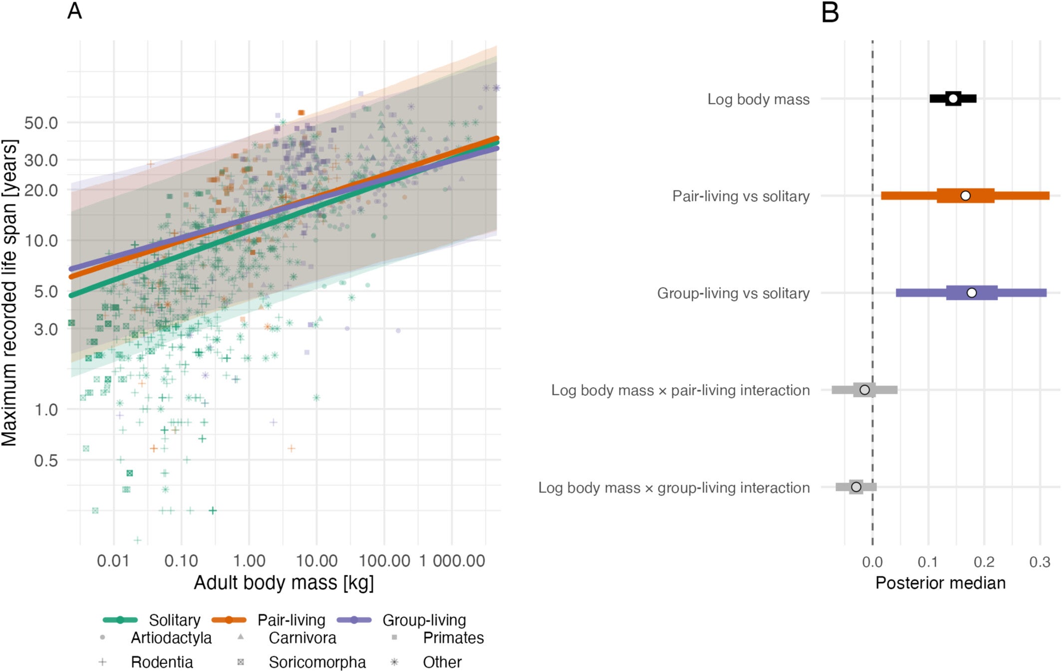 Interaction model relating log maximum lifespan to log body mass, social organisation, and their interaction for 1436 mammal species.