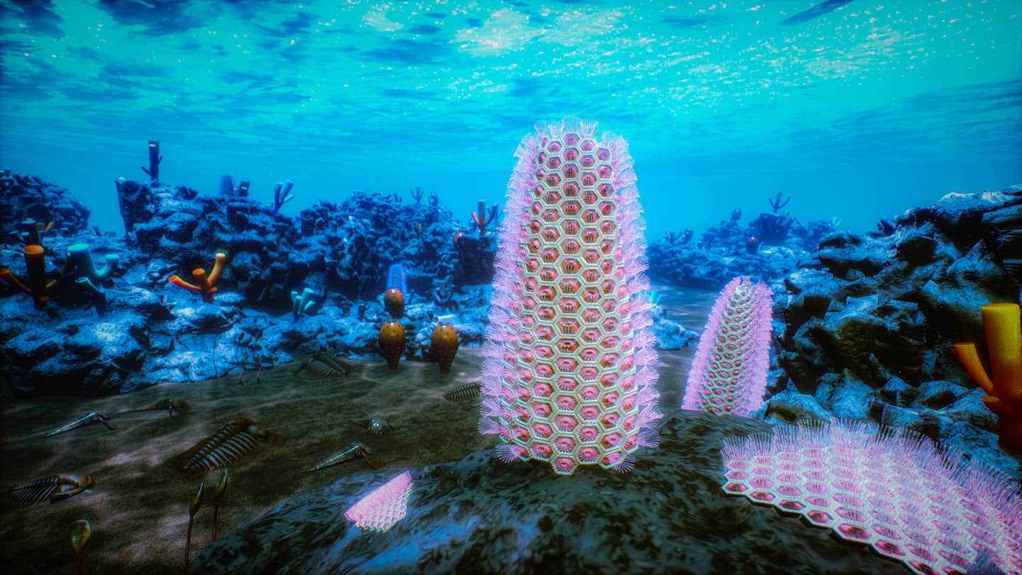 Reconstruction of the early Cambrian seafloor, depicting colonies of Protomelission gatehousei and Dayingomelission hexaclitia living among archaeocyath reefs in shallow seas approximately 520 million years ago.
