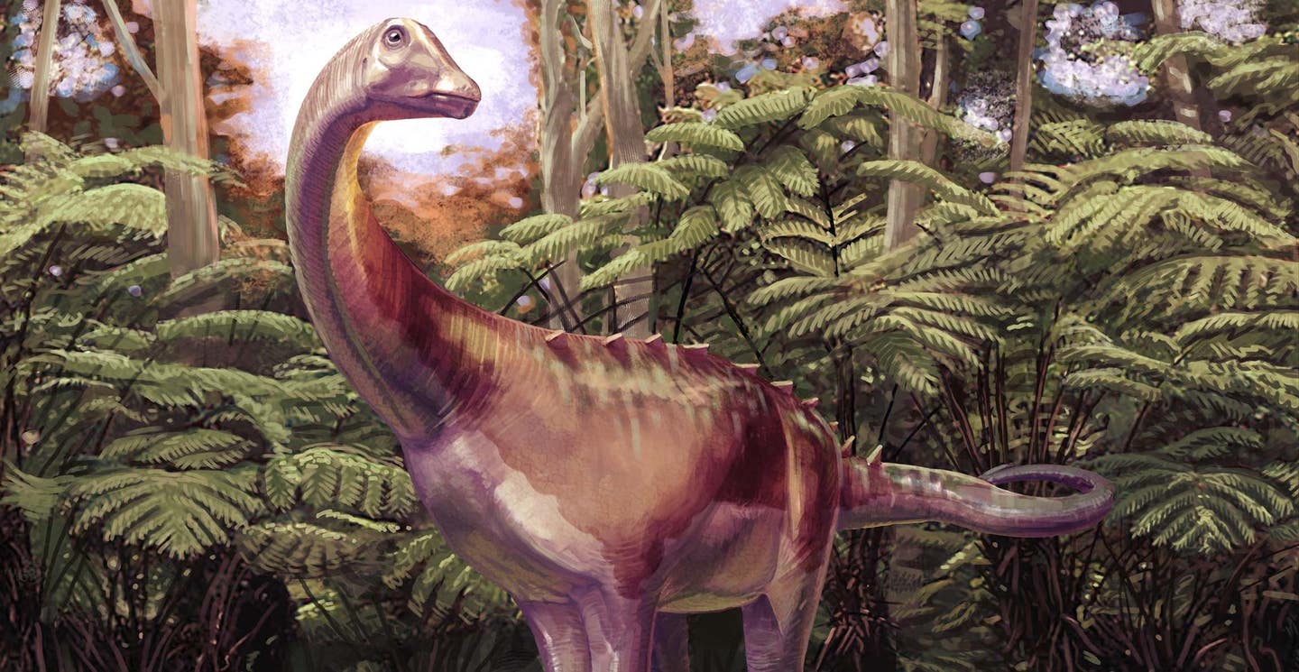 A fossil found in 1985 is now identified as Antarctica’s first discovered dinosaur bone, a titanosaur vertebra from 82.6 million years ago.