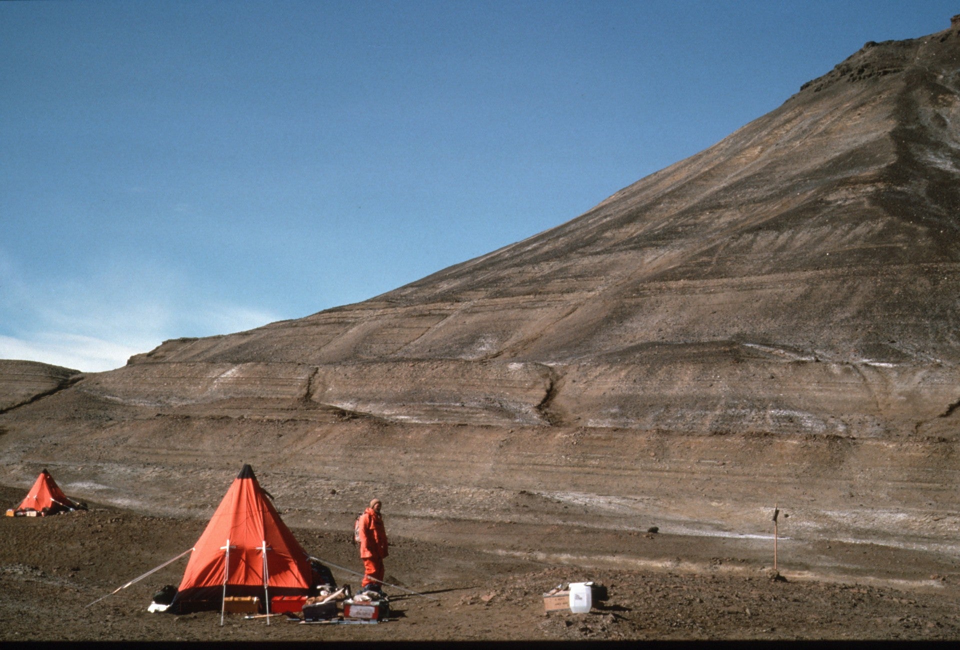 The fossil was collected by Mike Thomson, pictured, during a 1985 expedition to James Ross Island.