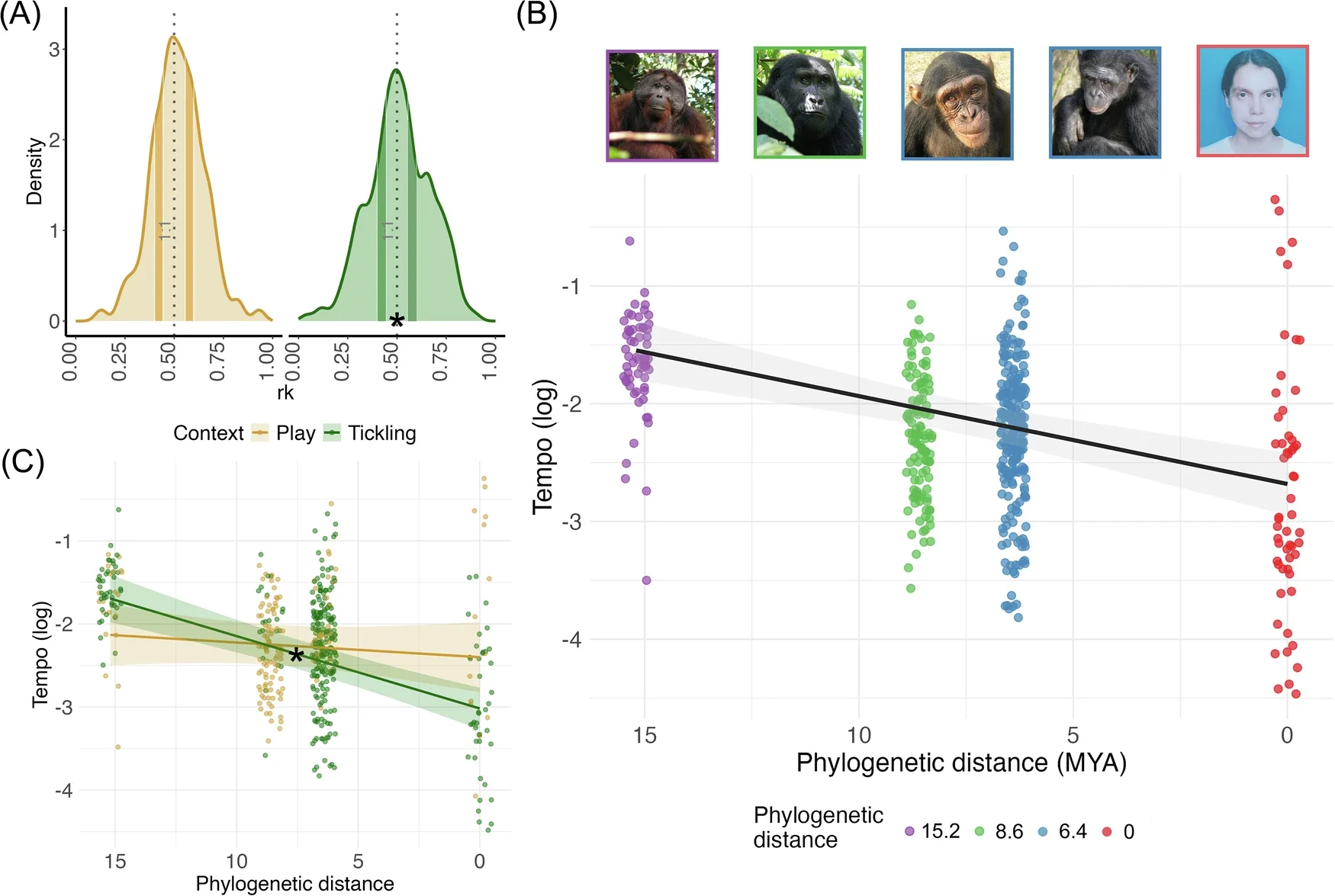 Evolution of temporal patterns of laughter in hominids.