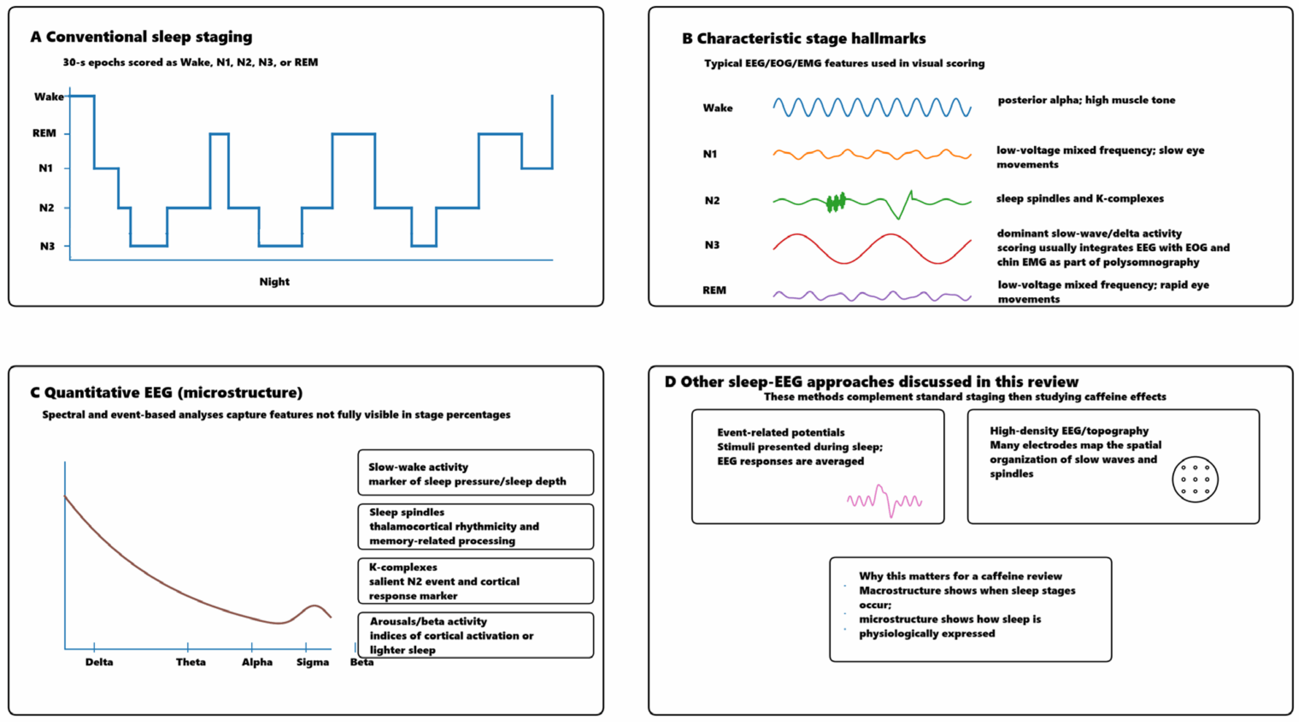 Sleep EEG approaches relevant to caffeine research.