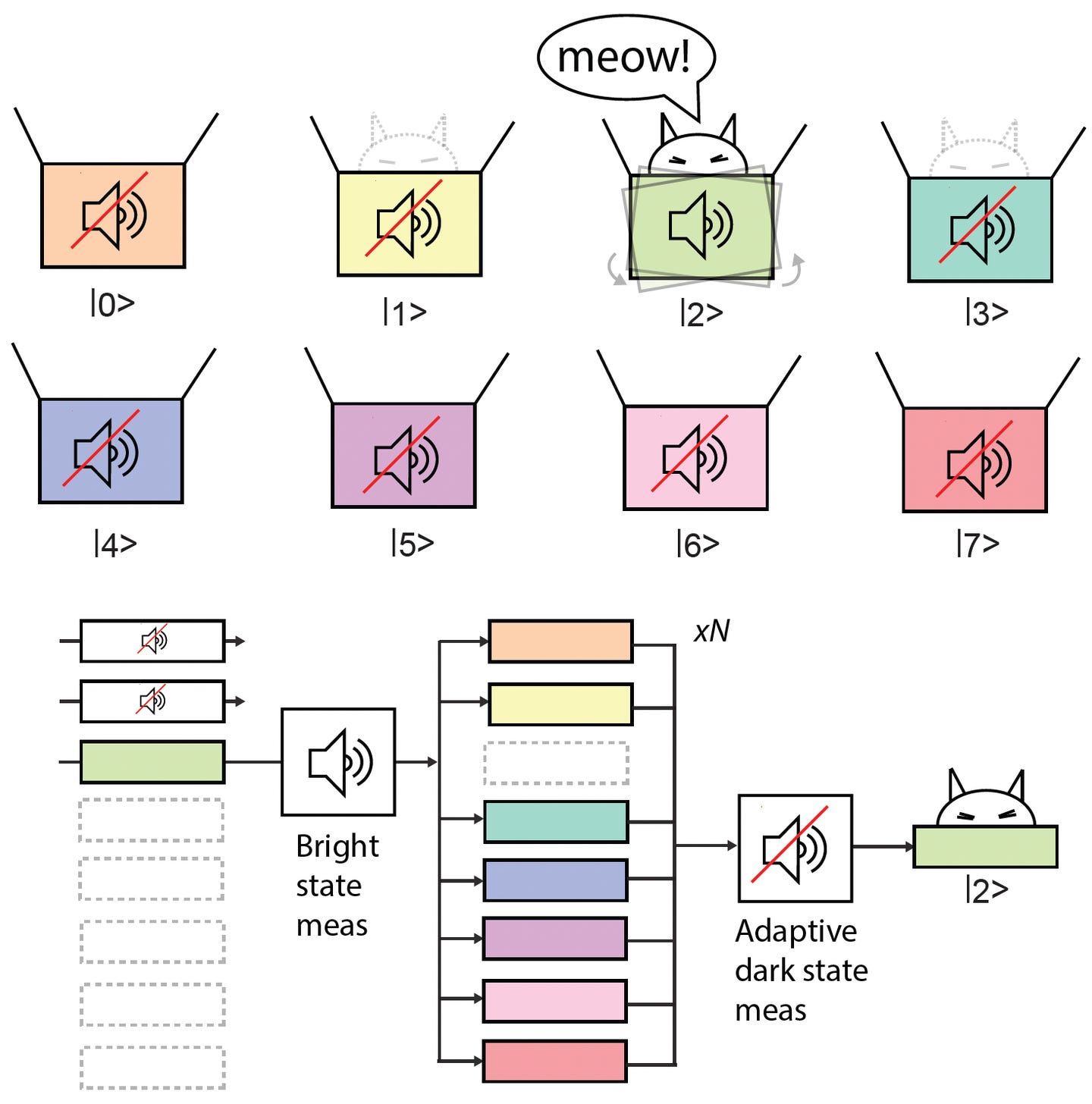 Illustration of the adaptive measurement protocol used to detect the quantum state of the nuclear spin. After the first signal (equivalent to the first “meow” of the cat in the box), only the empty quantum states are repeatedly probed. 