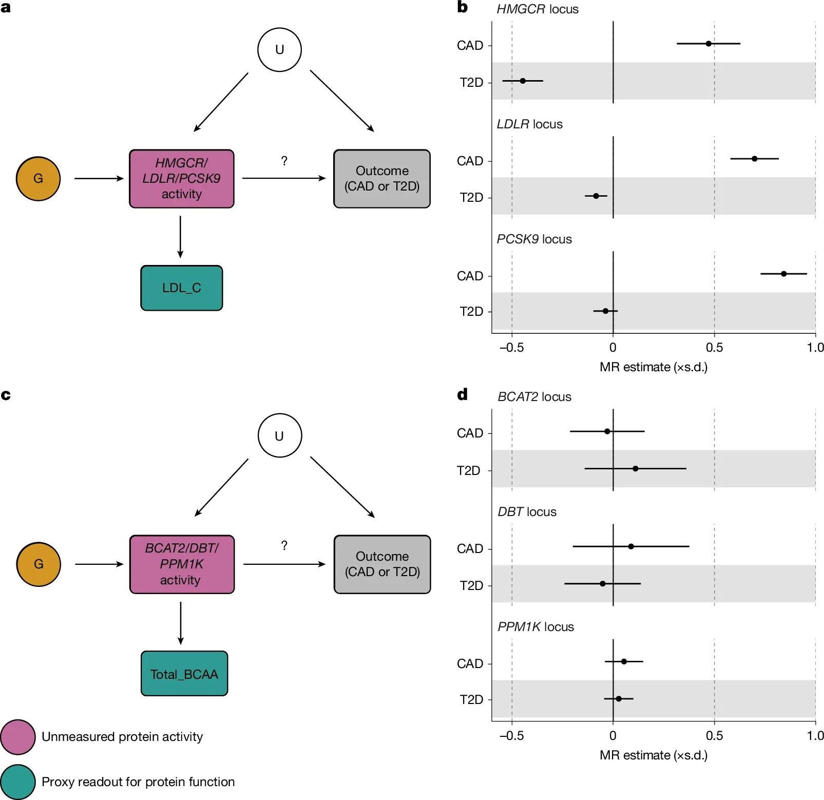 Drug target evaluation with cis-Mendelian randomization.