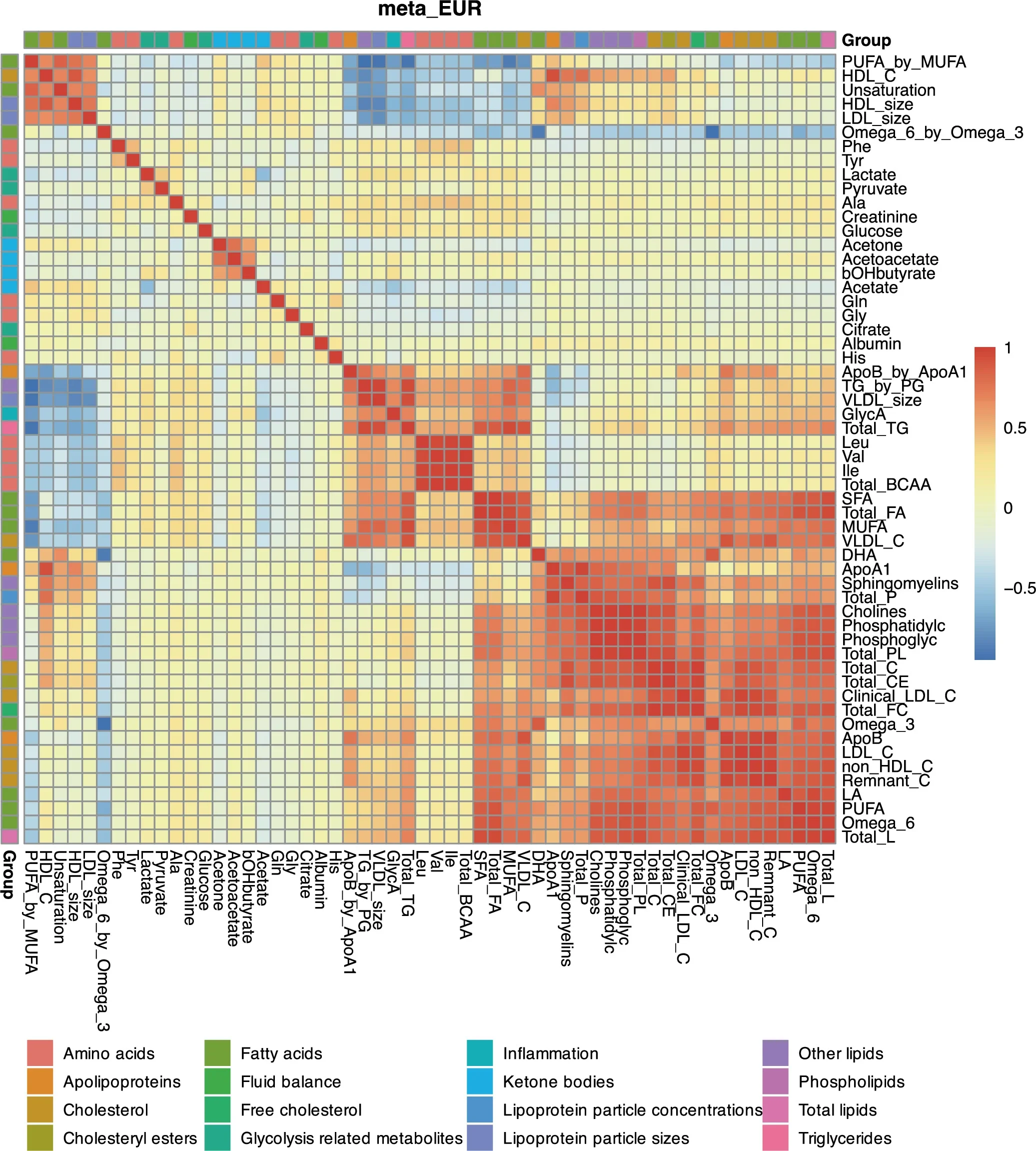 Heatmap of pairwise genetic correlations between metabolic traits in the meta_EUR dataset.