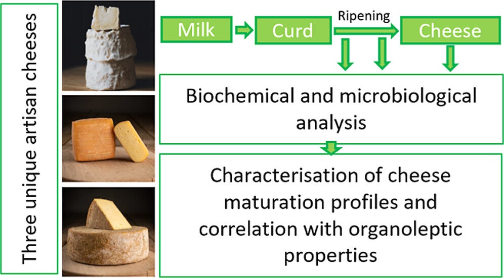 An abstract of the study. (CREDIT: ACS Food Science & Technology)