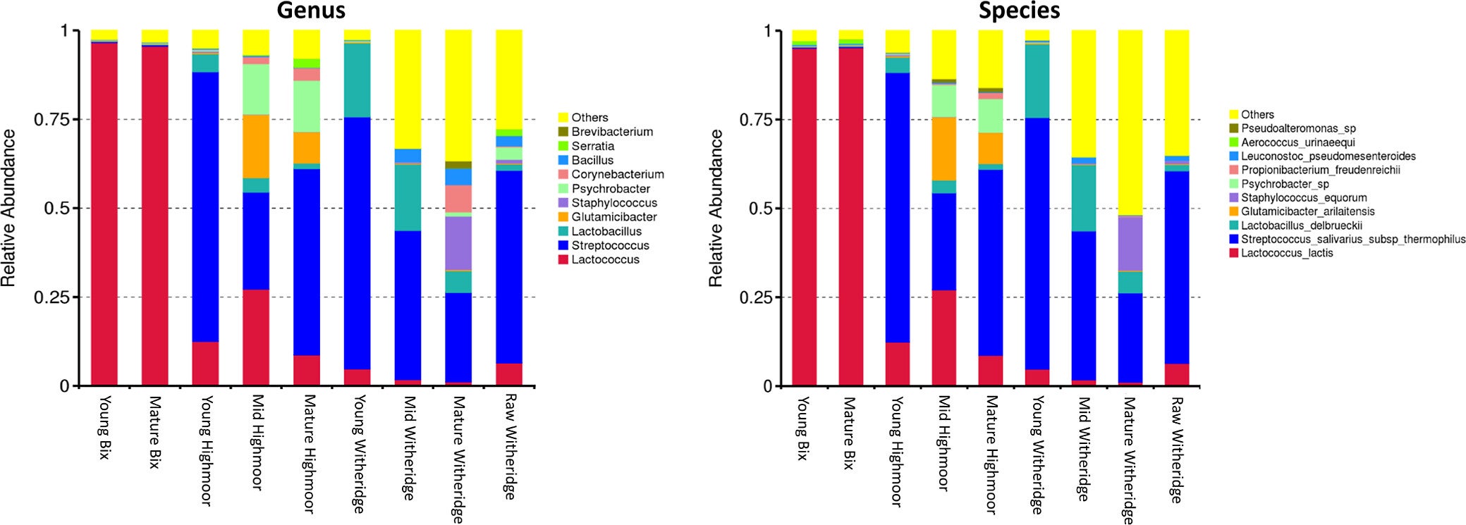 Relative abundance bar charts for genus and species of bacteria present in samples of the three cheeses.