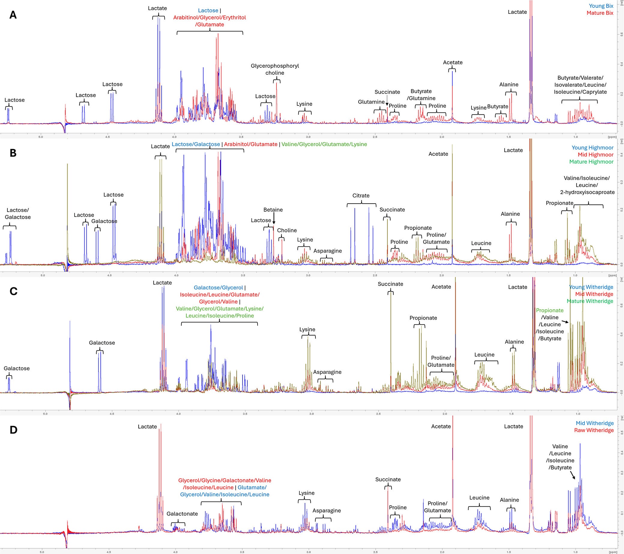 One-dimensional 1H NMR spectroscopic data showing changes in the metabonomic profile at different stages of maturation (“Young”, “Mid”, and “Mature”) of three cheeses.