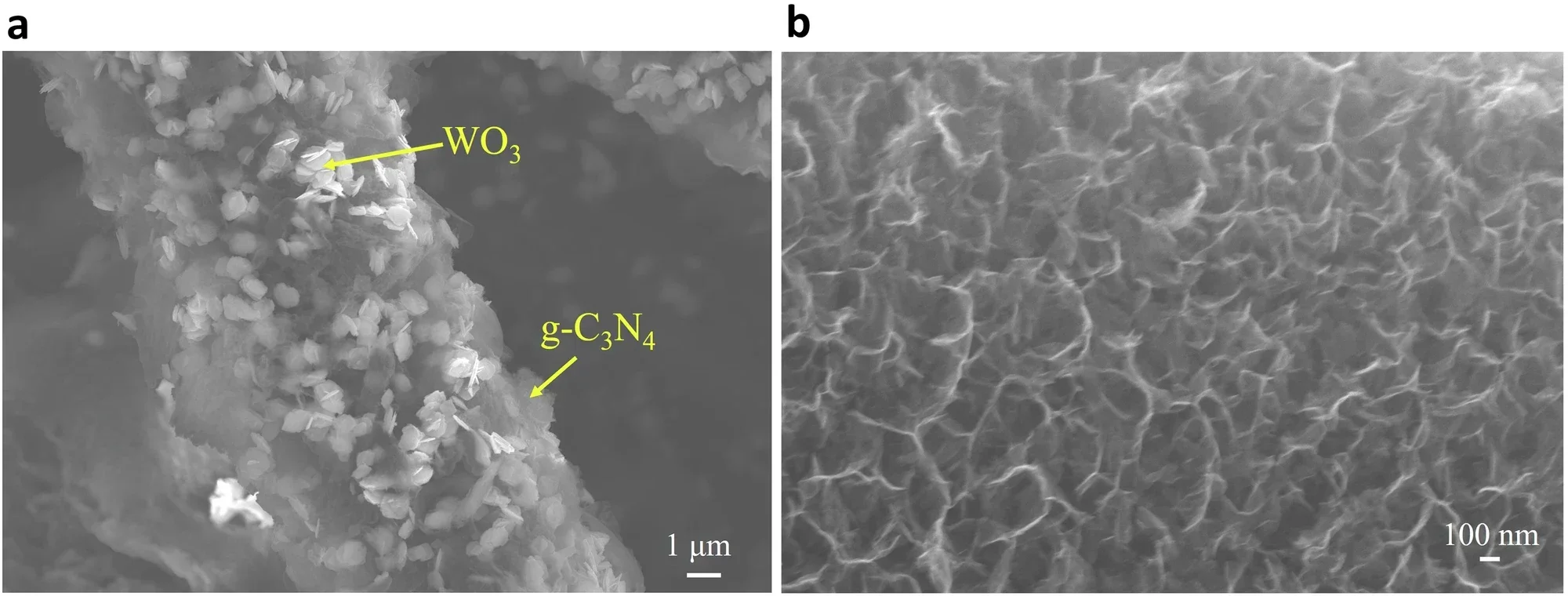 Characterisation of the Co3O4/WO3/g-C3N4 photoanode.