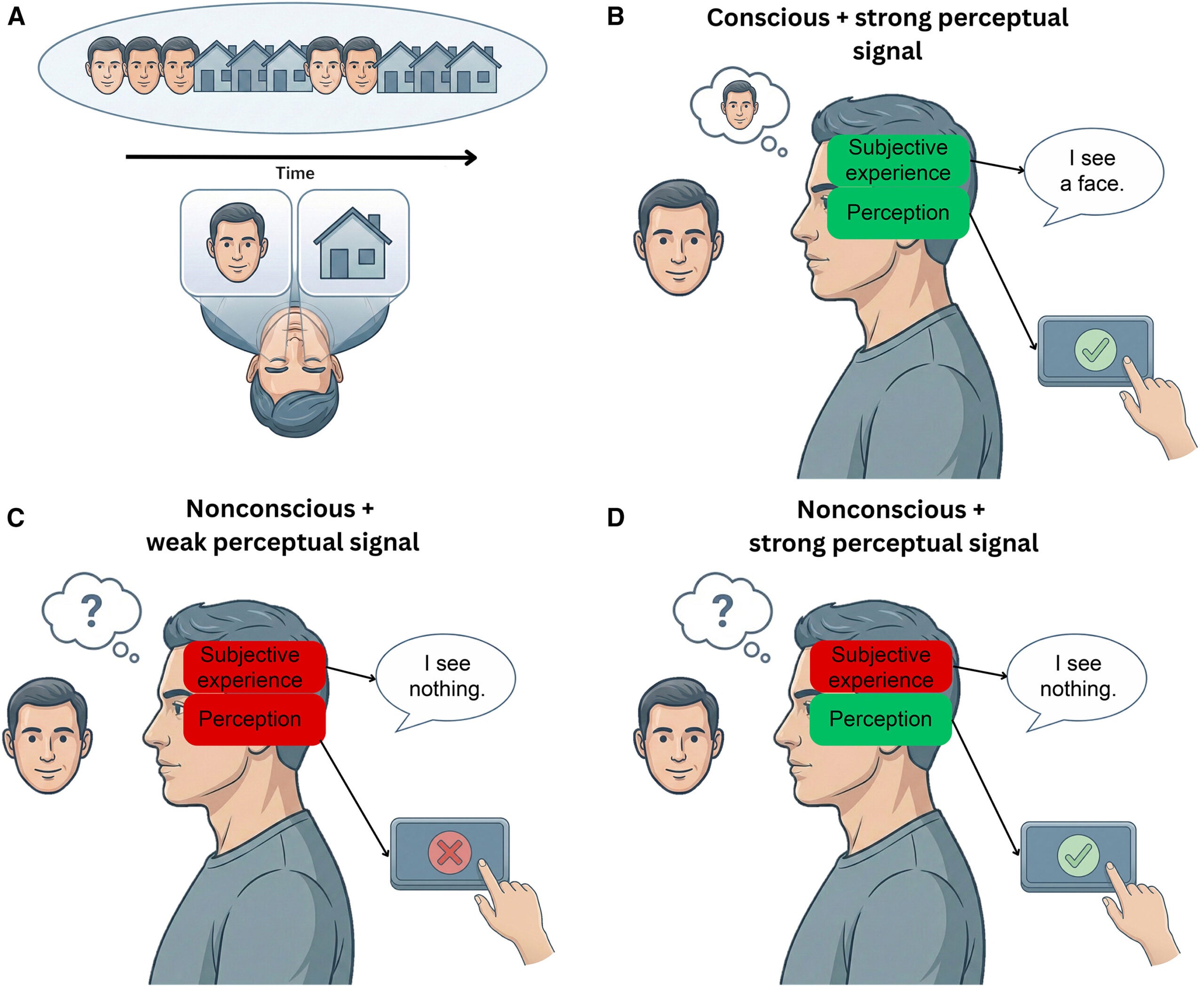 The conflation of perception and subjective experience in consciousness science