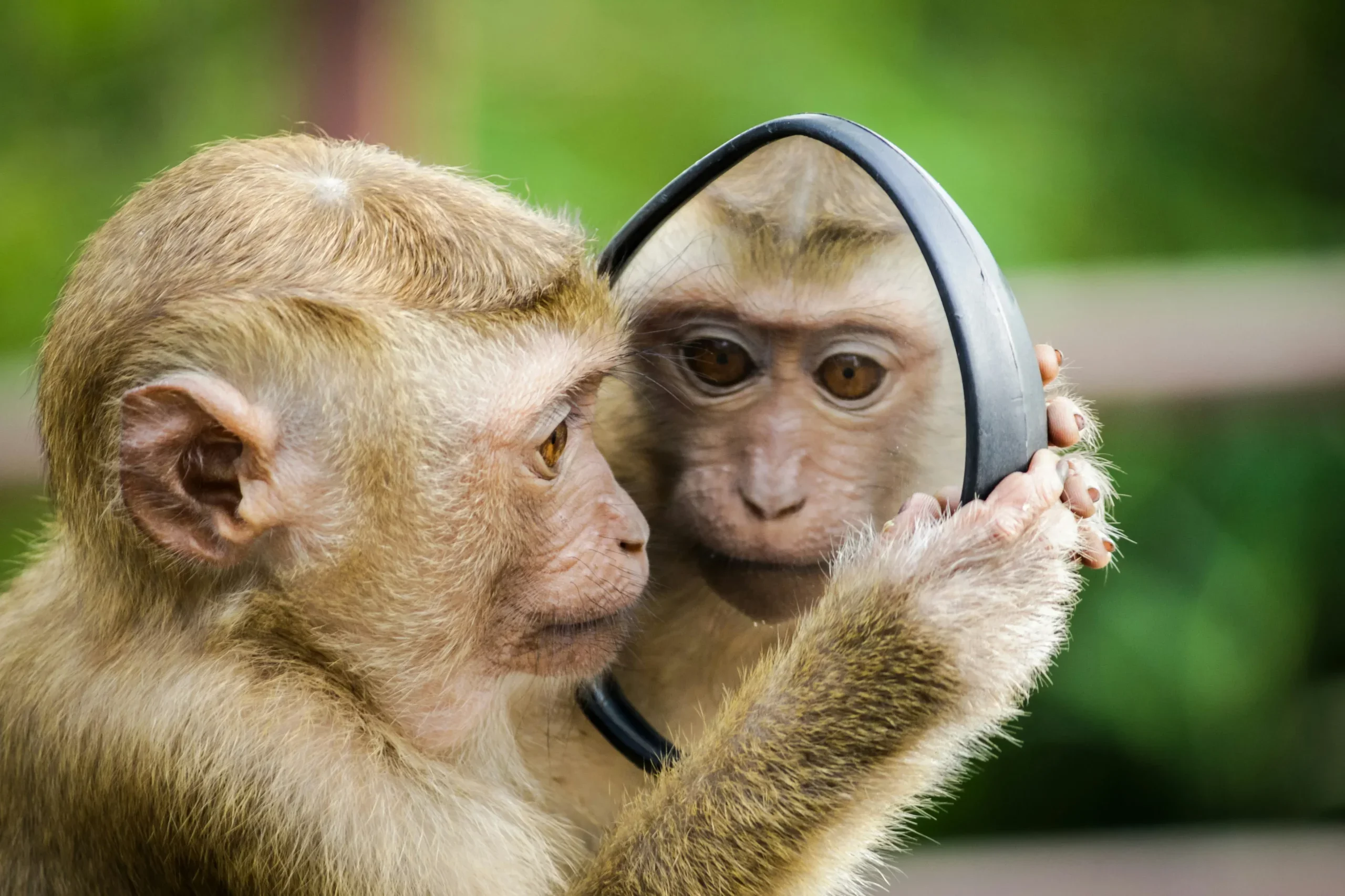 On Earth, consciousness is associated with animal bodies, nervous systems, and specific biological chemistry.