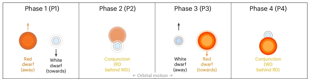 Sketch of orbital phases with a face-on inclination. Phases 1 and 3 correspond to the binary quadratures—with the two stars side by side—where the Doppler shift maxima/minima occur. Phases 2 and 4 correspond to the binary conjunctions of the red dwarf (RD) and white dwarf (WD), when the radial velocity is zero.