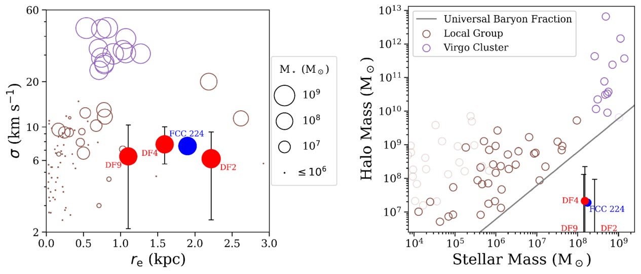 A comparison between DF2, DF4, and DF9 (filled red circles) and a wider population of Local Group (open brown circles) and Virgo Cluster dwarf galaxies (open purple circles)