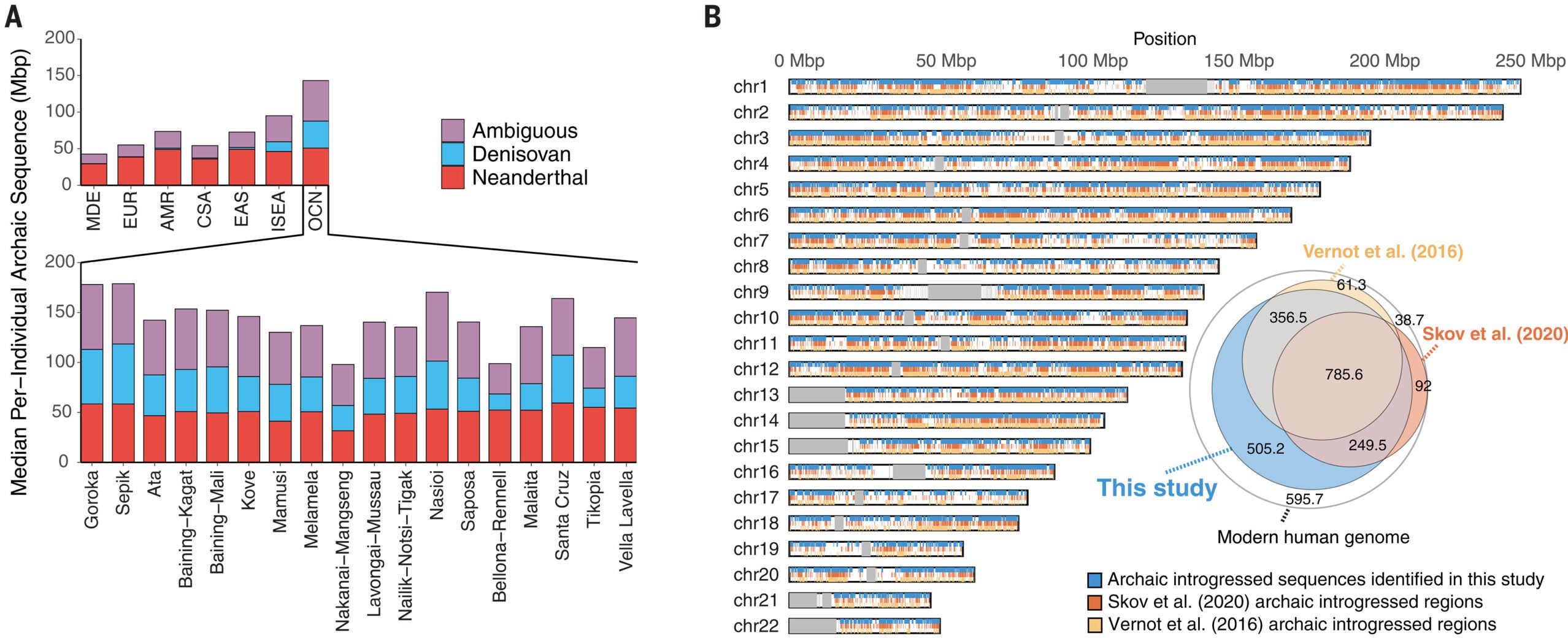 Archaic hominin introgression in present-day Oceanic genomes.