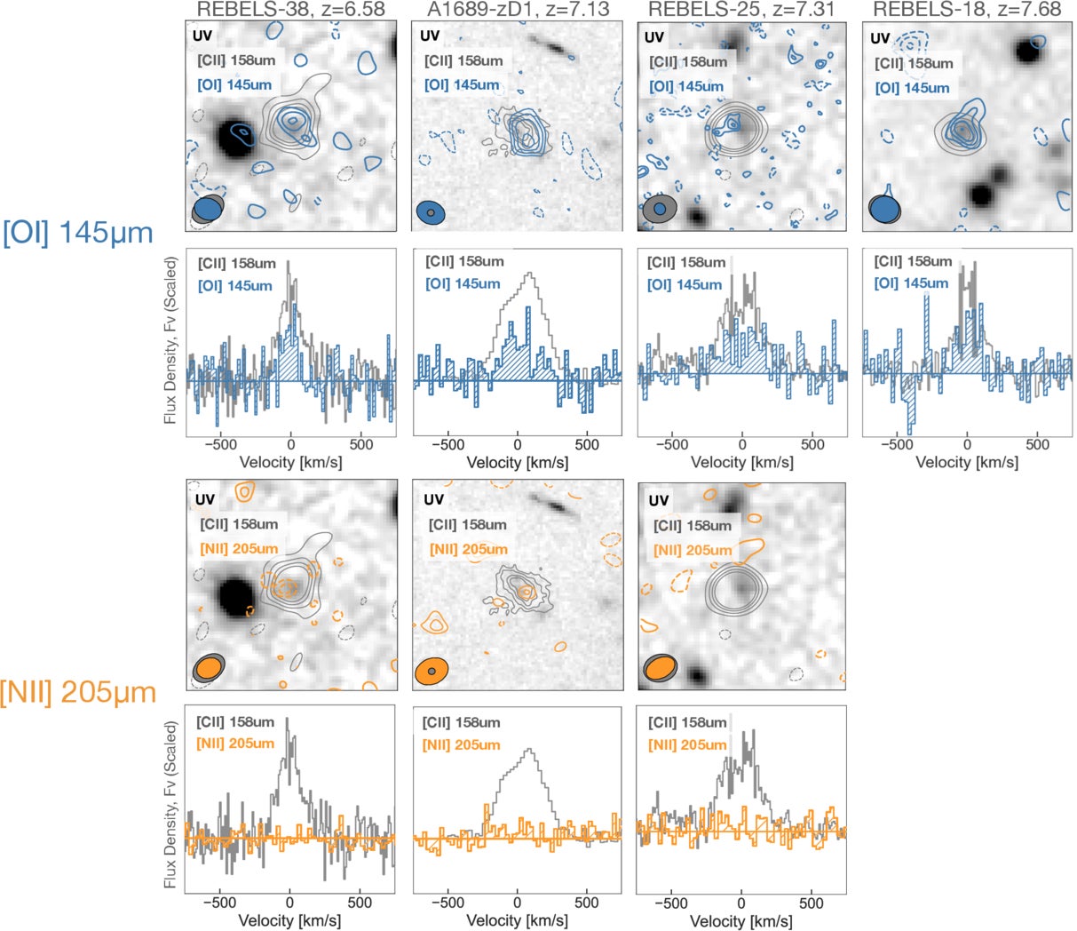 Cutouts and spectra of [C ii] 158 μm, [O i] 145 μm, and [N ii] 205 μm emission lines of the targets. For REBELS-38, REBELS-25, and REBELS-18, background images of cutouts show rest-frame UV continuum obtained by stacking J-, H-, and K-band images from the UVISTA survey (H. J. McCracken et al. 2012). For A1689-zD1, the Hubble Space Telescope F160W image is shown in the background of the cutouts.