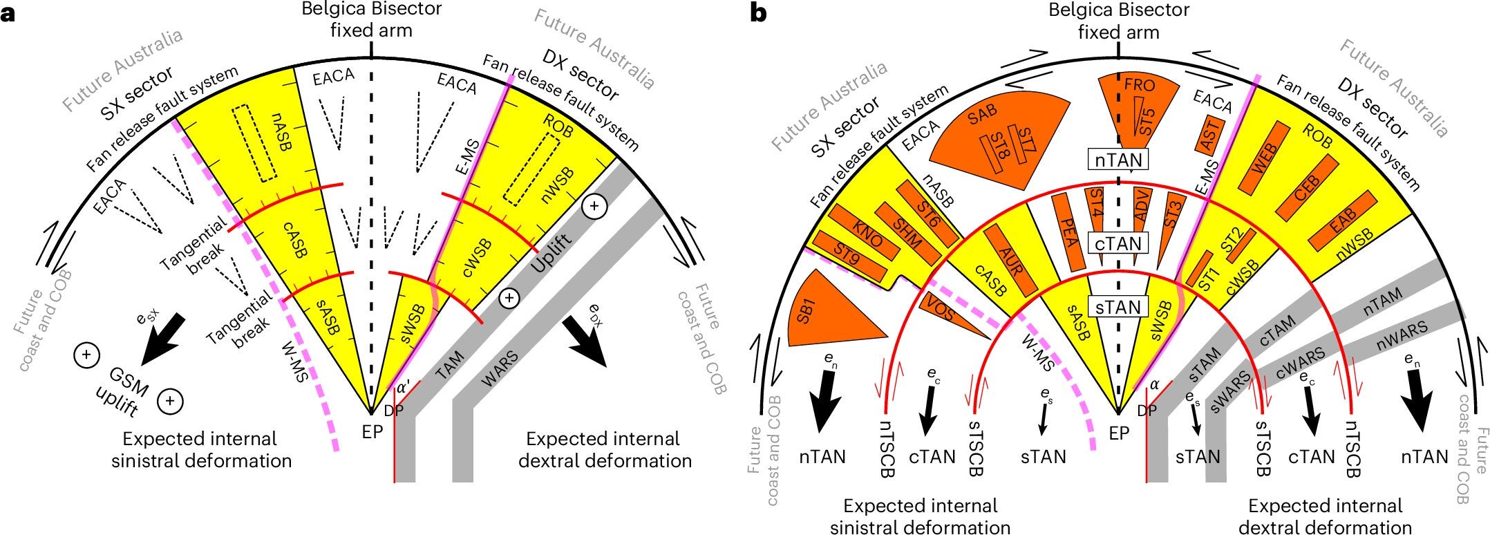 Proposed two-phase kinematic conceptual model of formation of the EAFBP.